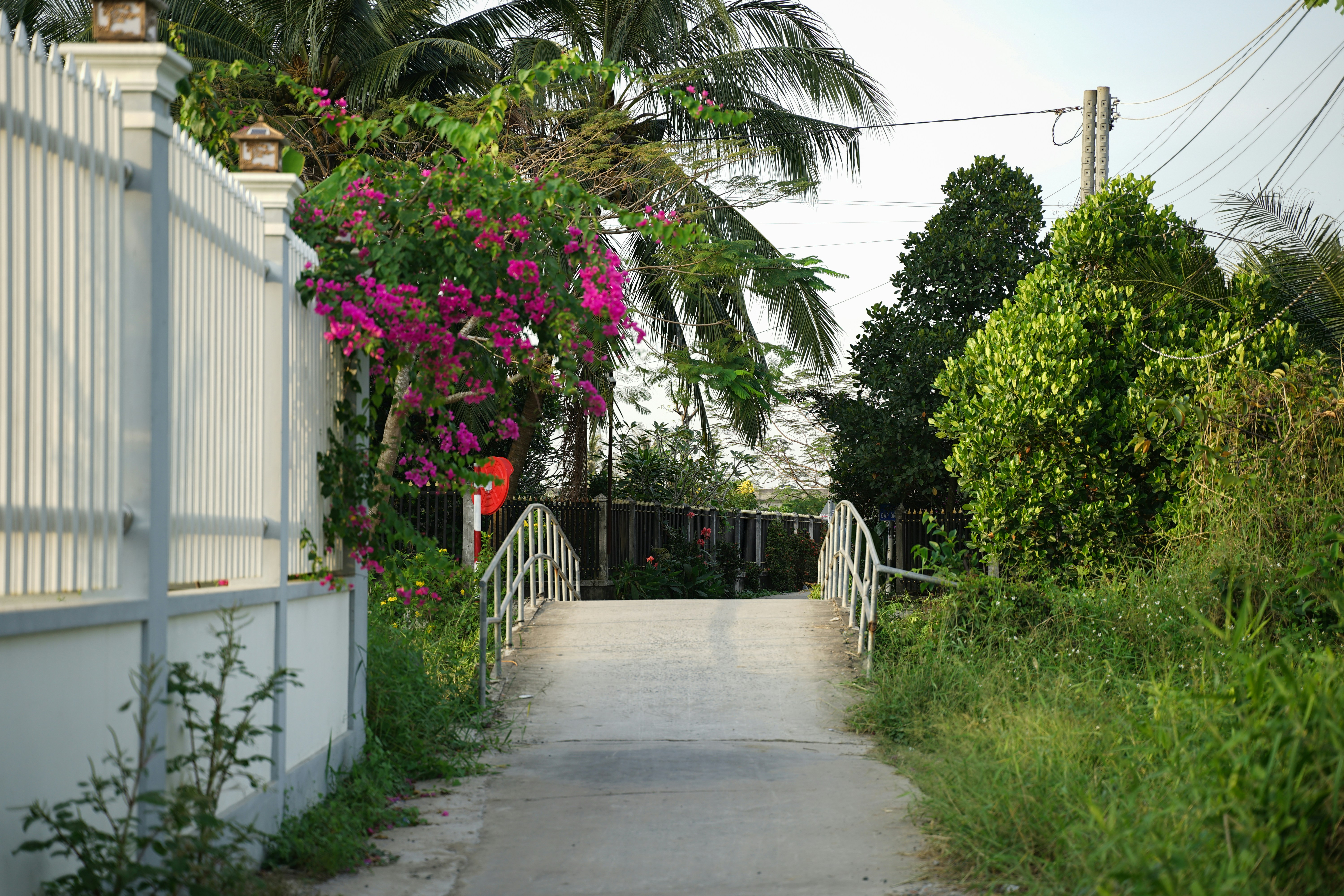 A pathway leads over a small bridge surrounded by greenery.