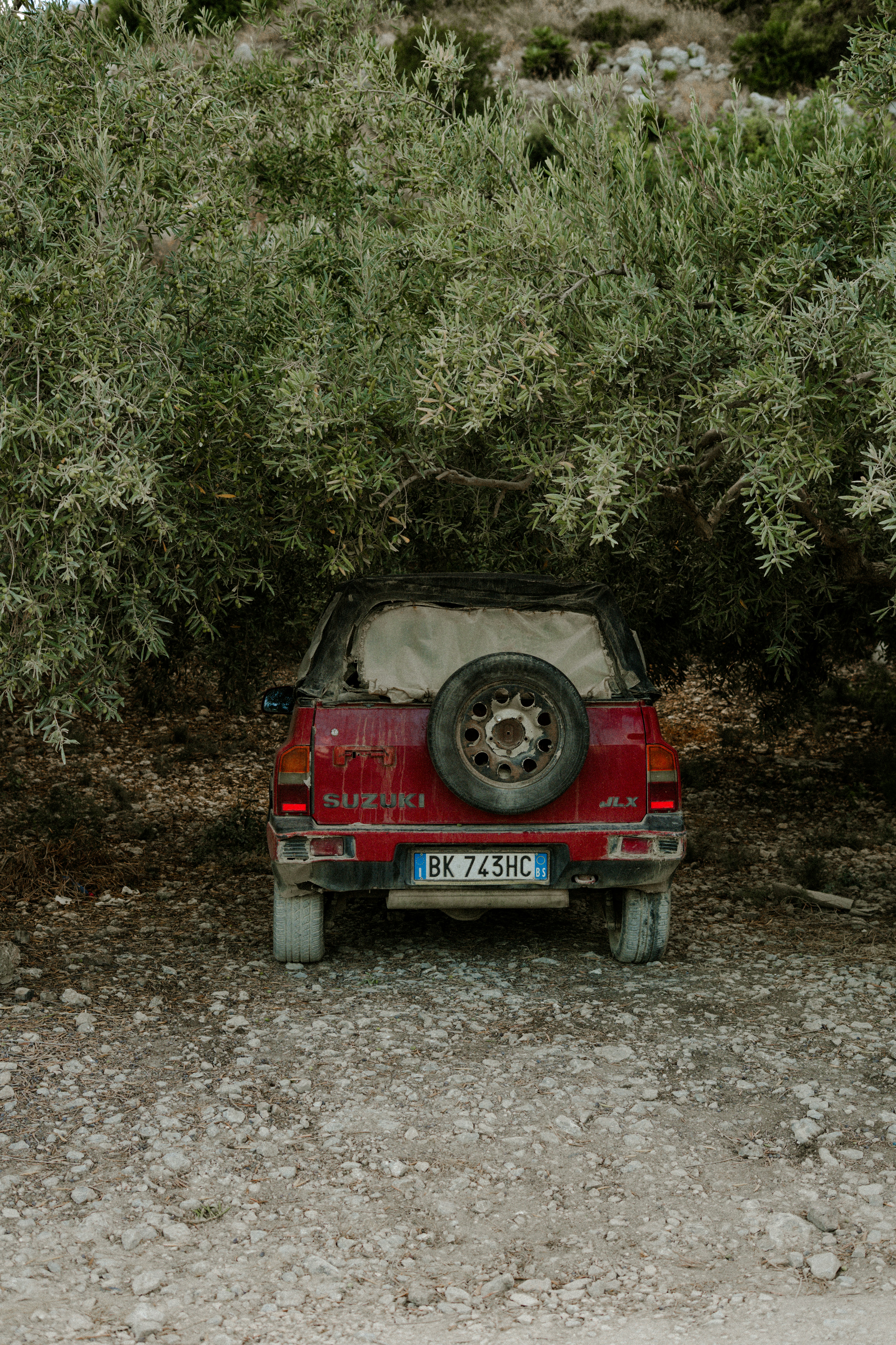 Red off-road vehicle parked under olive trees