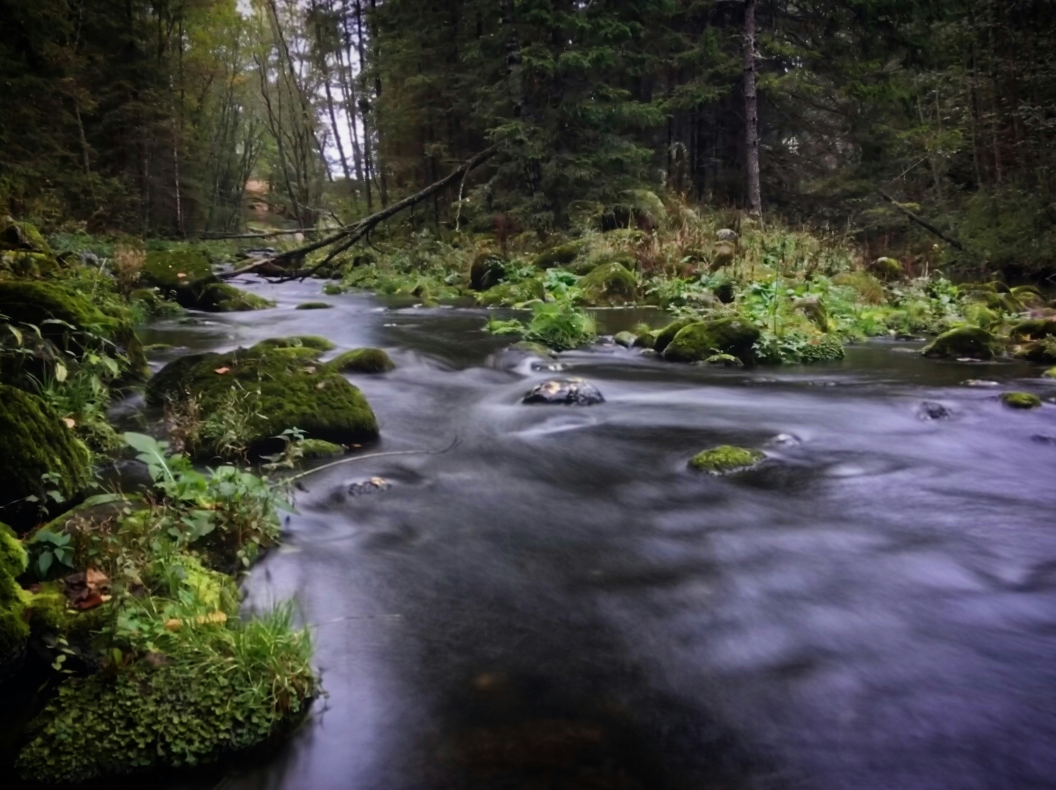 Photo by sergei_gussev