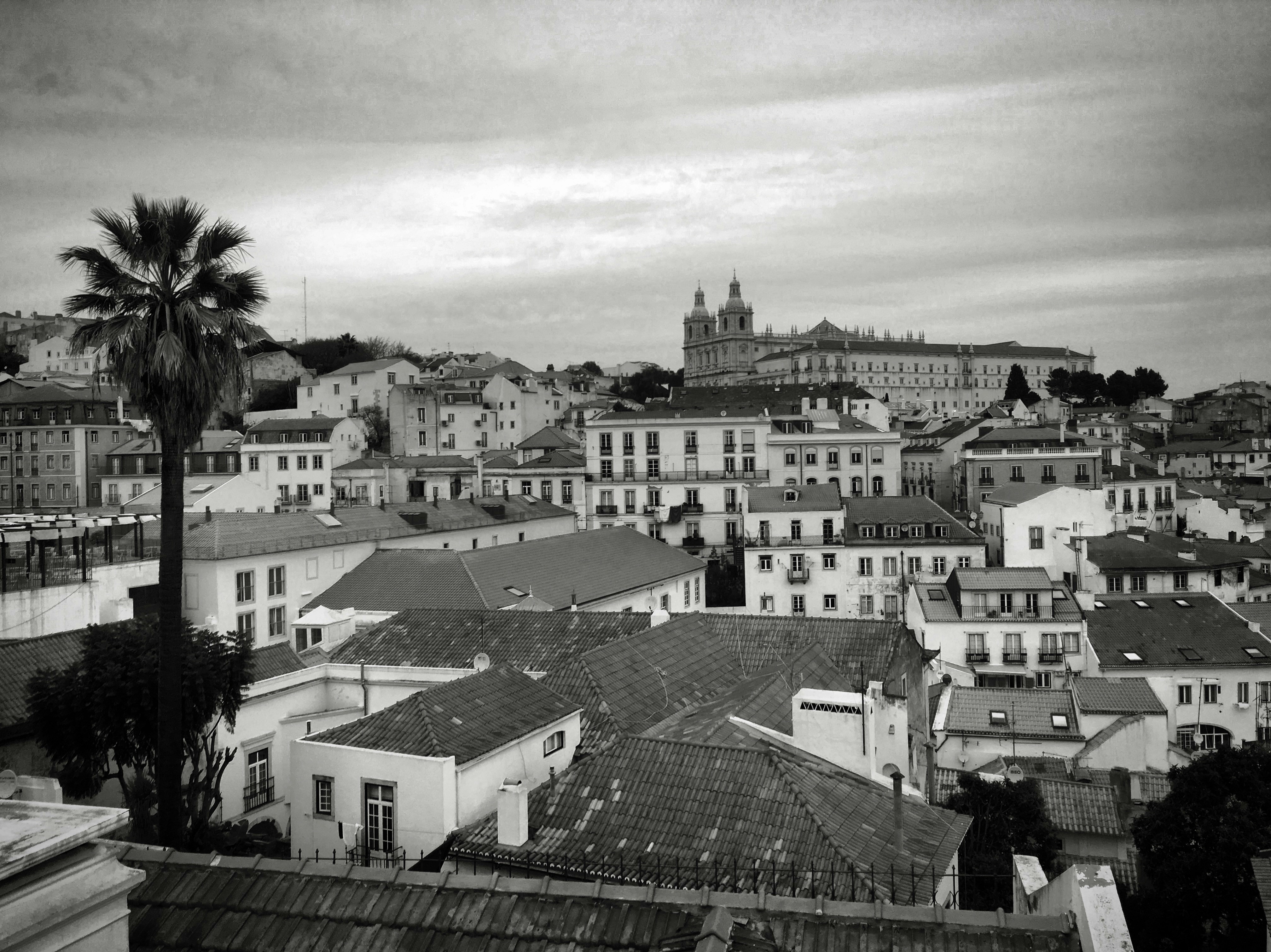 Photo by sergei_gussev