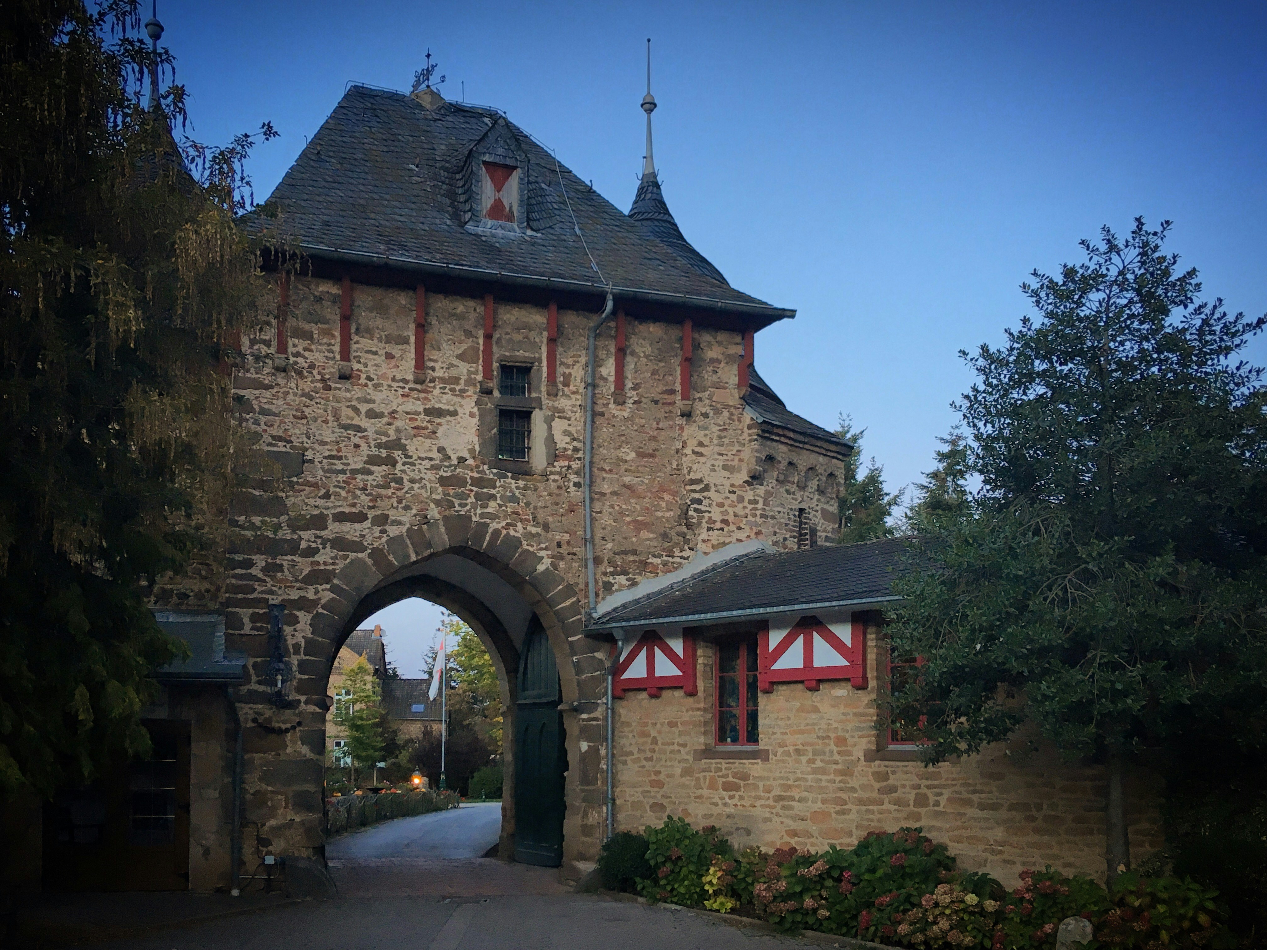 Photo by sergei_gussev