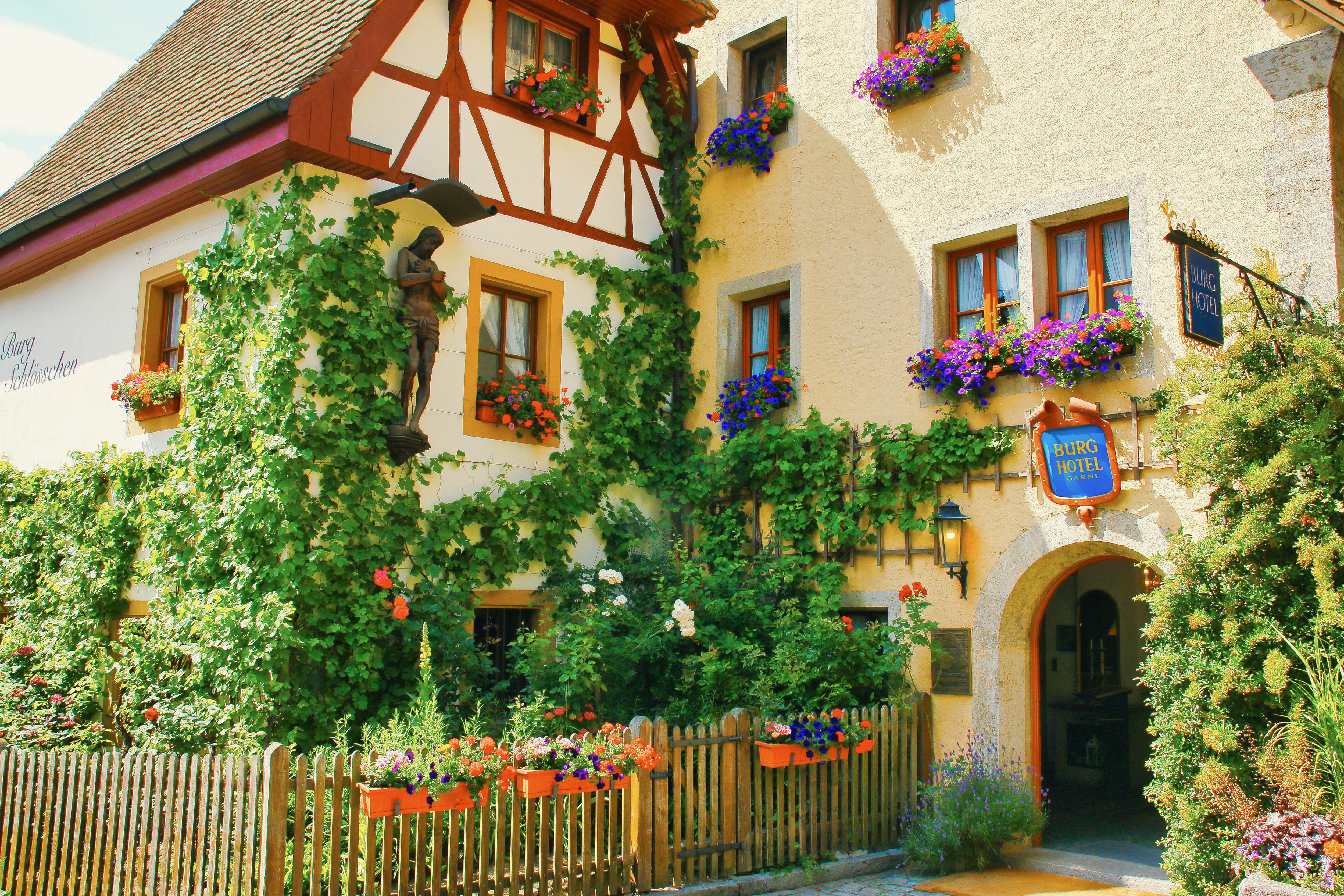 Charming building with ivy and flowers in summer.