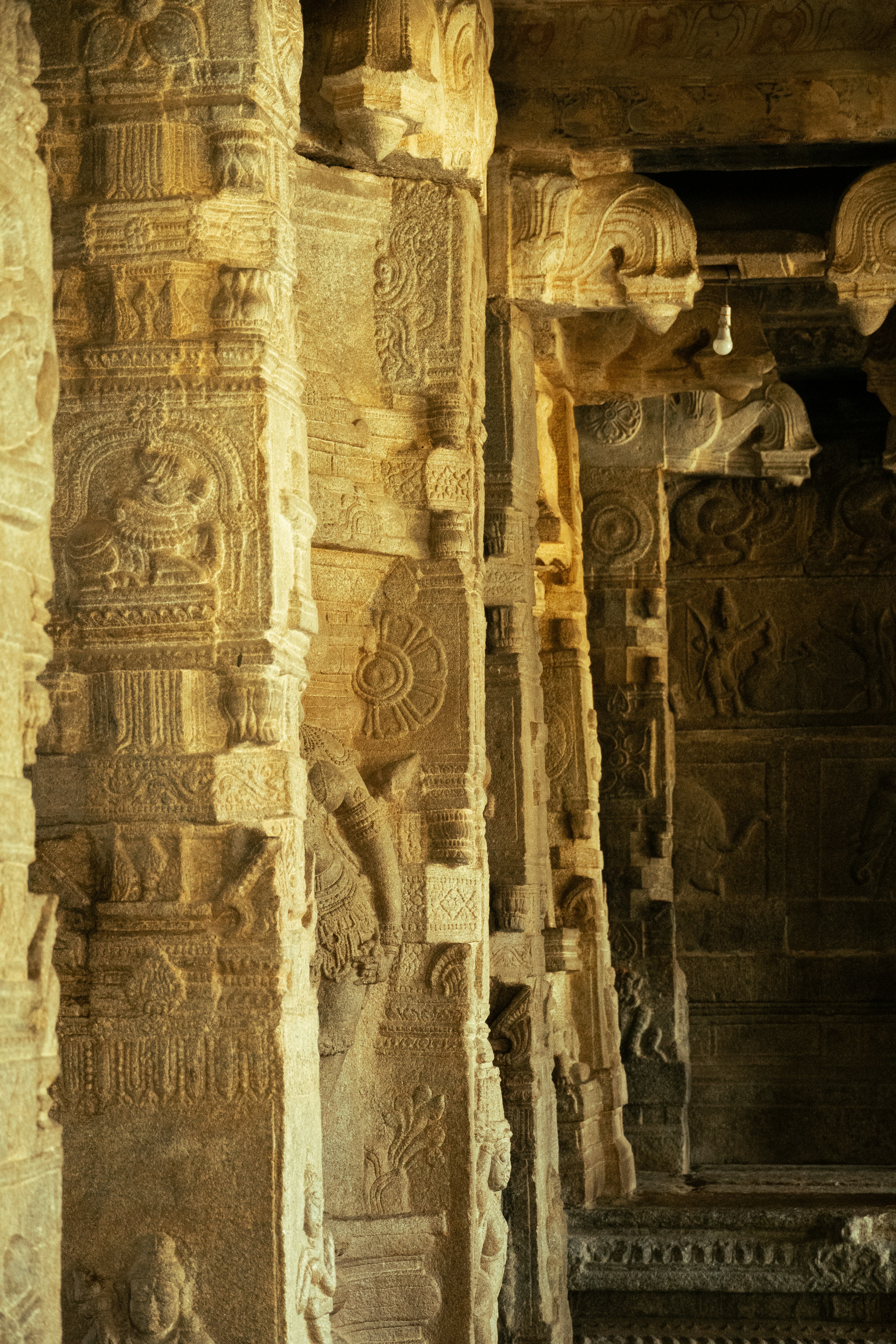 Photo by suhashanjar