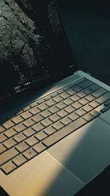 Laptop screen displays trees, sunlight on keyboard