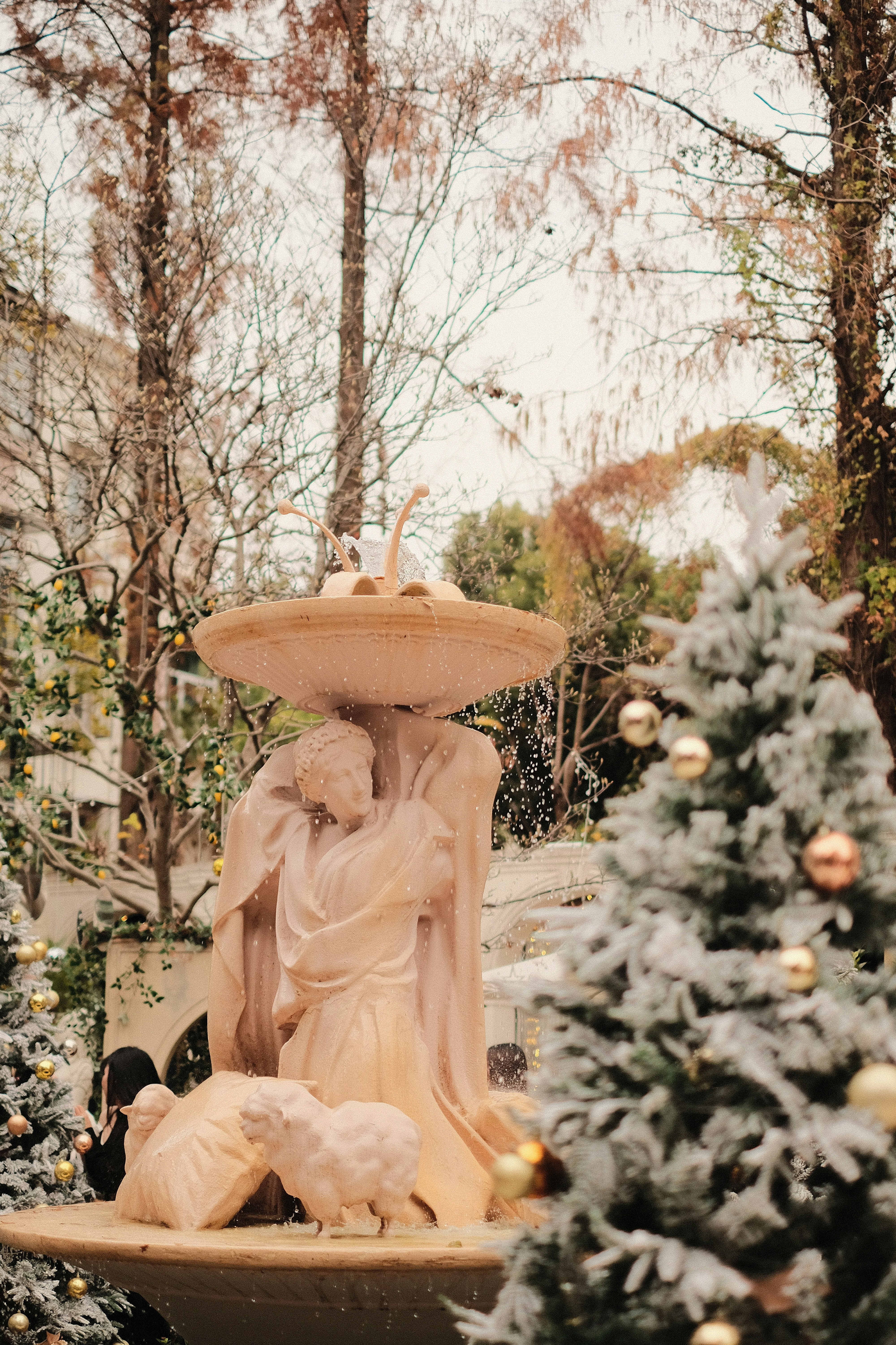 Nativity scene fountain with snowy christmas trees