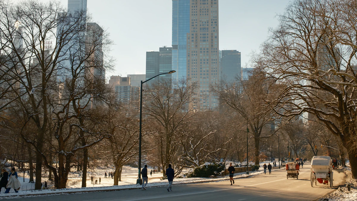 Snowy park path with the Manhattan skyline rising behind the trees
