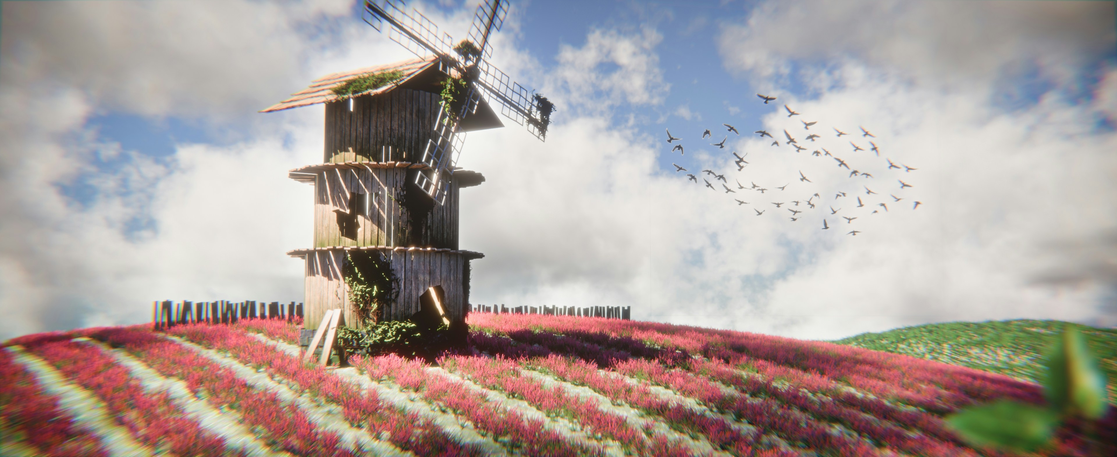 Old windmill stands in a field of red flowers.