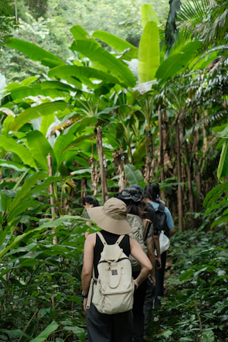 Friends hiking together through a tropical landscape while traveling.