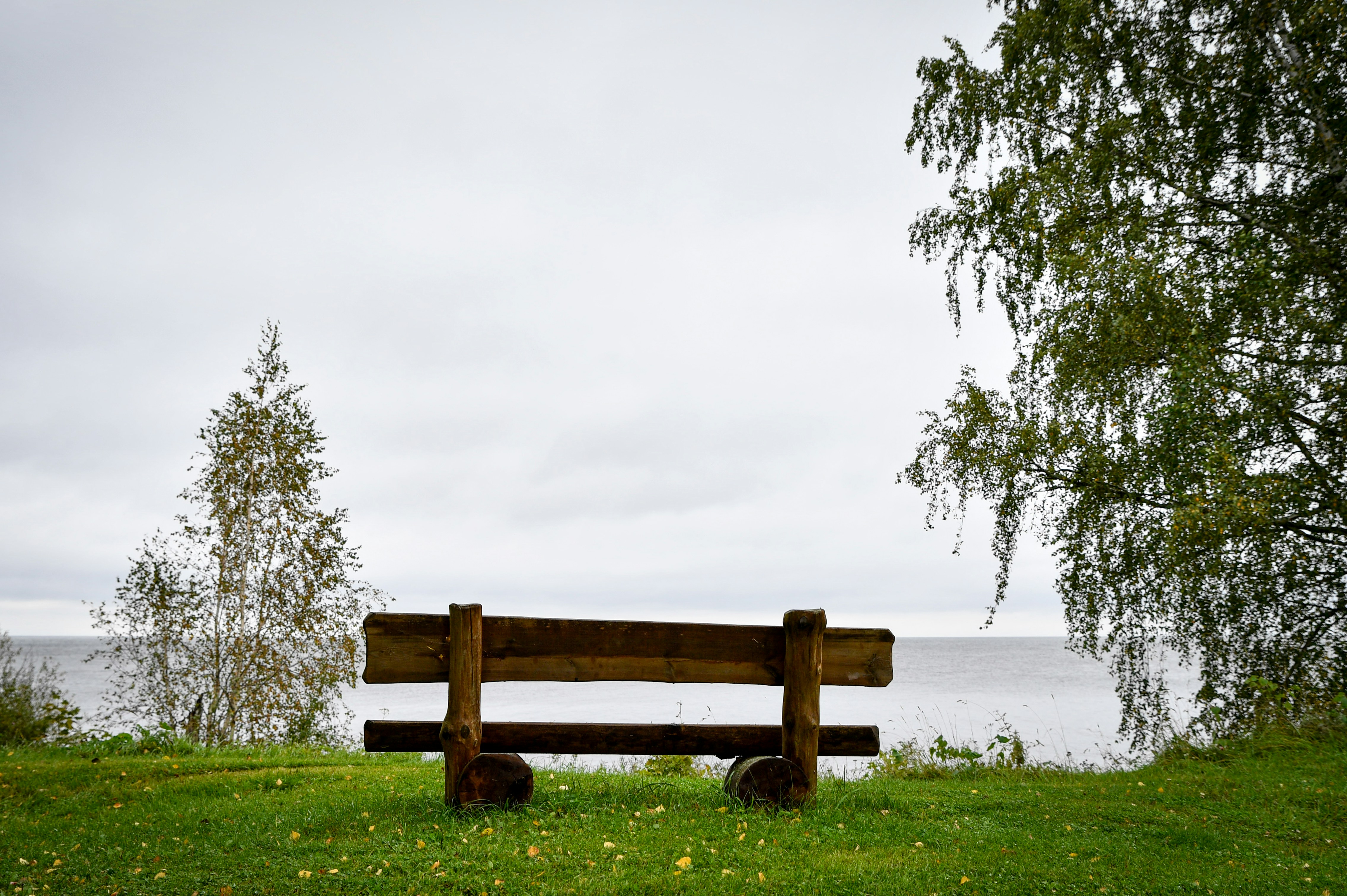 Wooden bench on grassy hill overlooking calm water