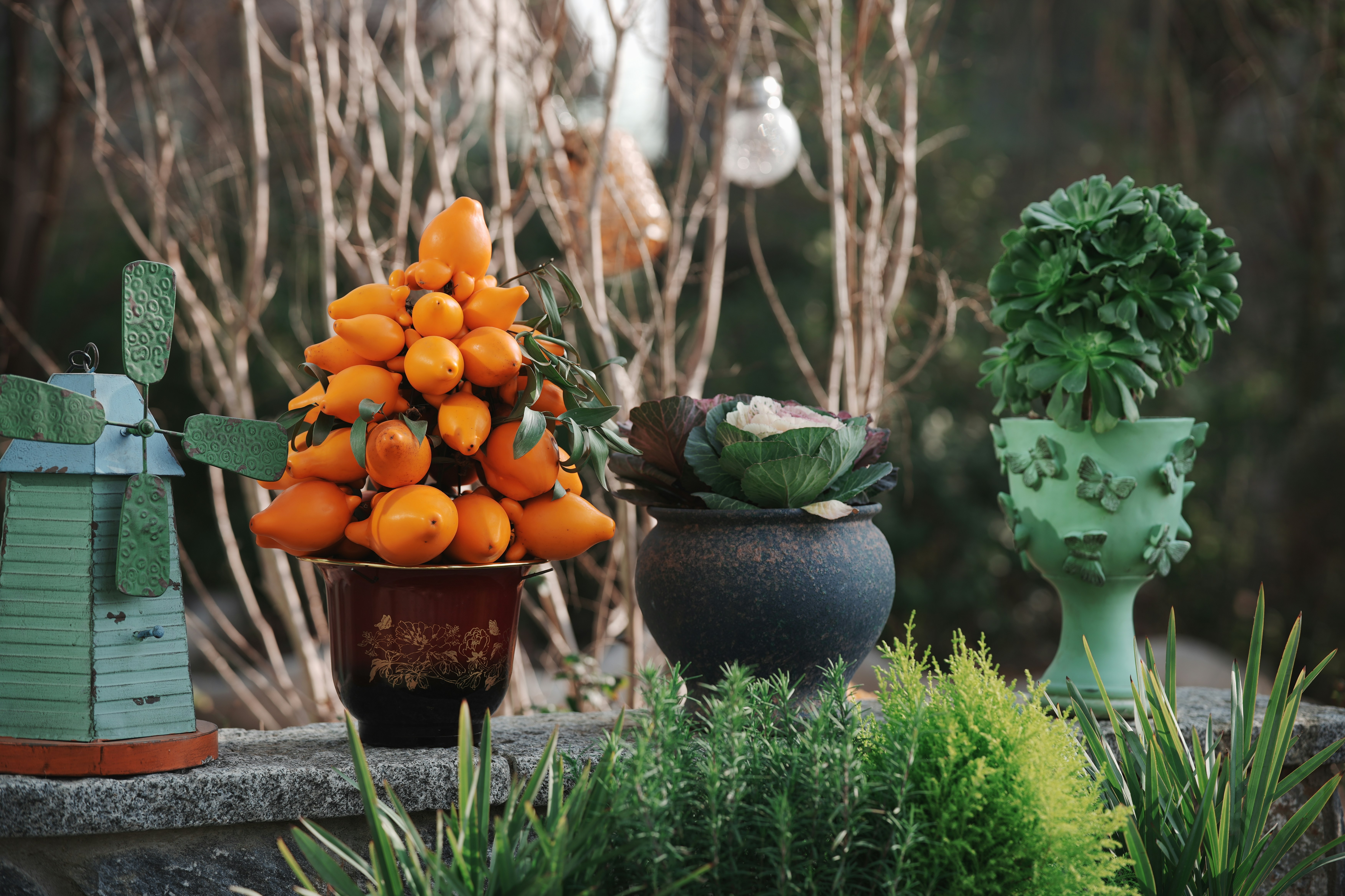 Potted plants with orange fruits and green leaves