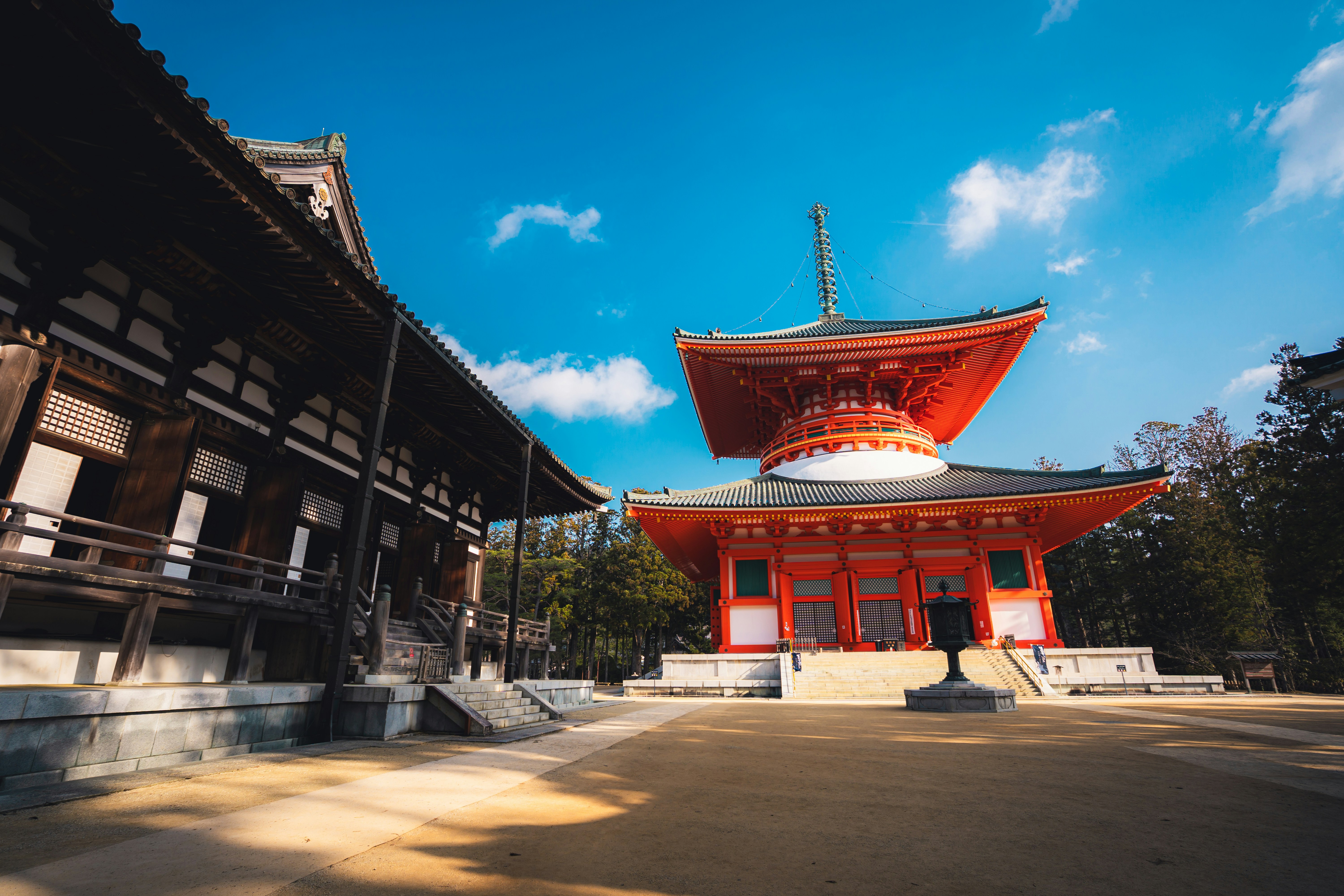 Photo by petit_prince_alex