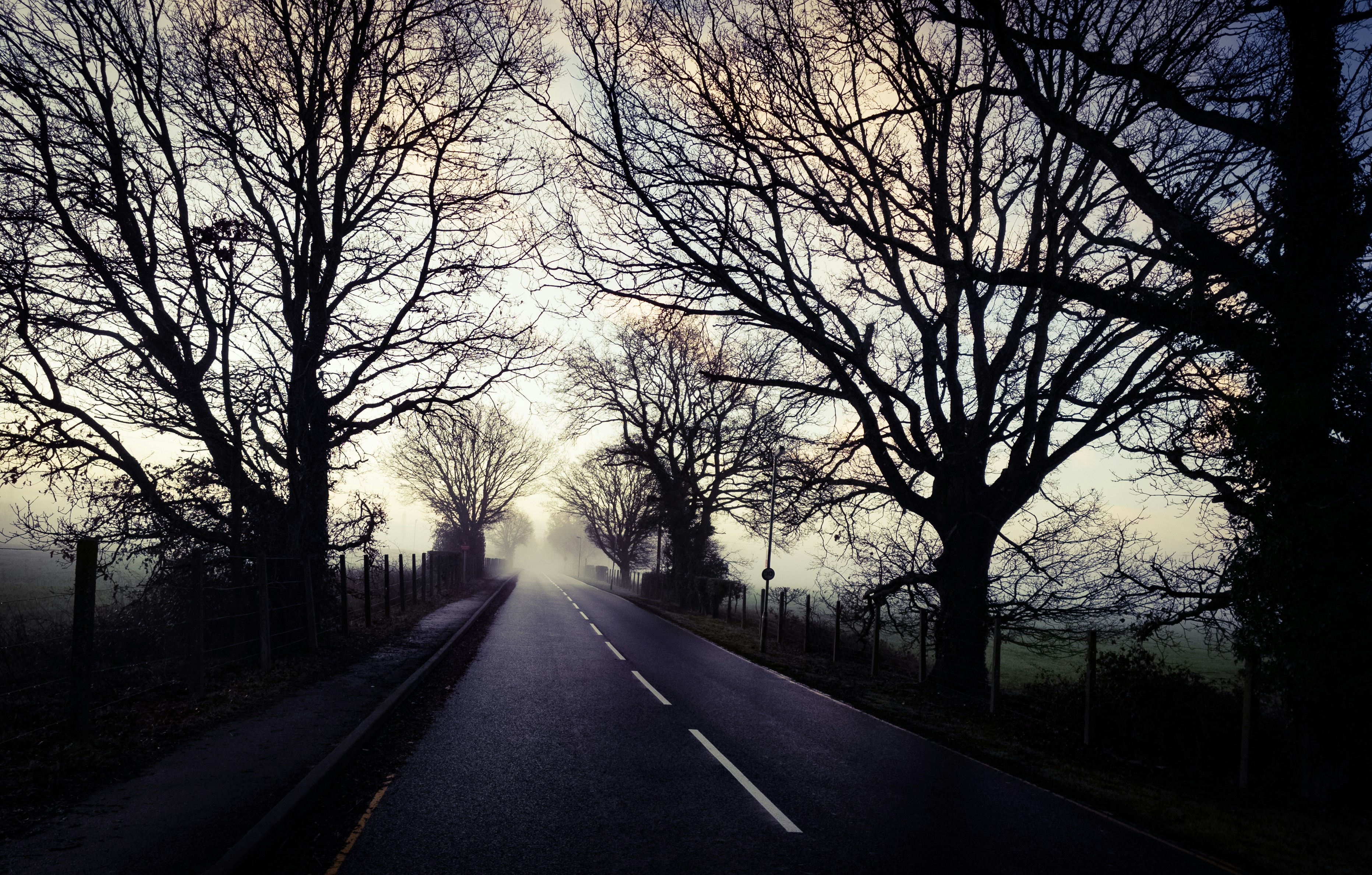 Cuando el paisaje decide el destino: anatomía del folk horror