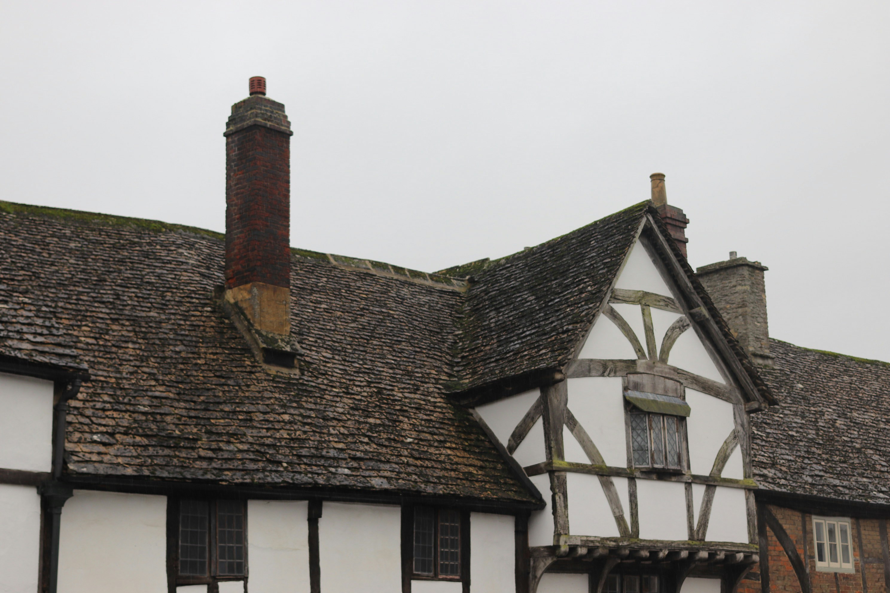 Photo by tanyabarrow