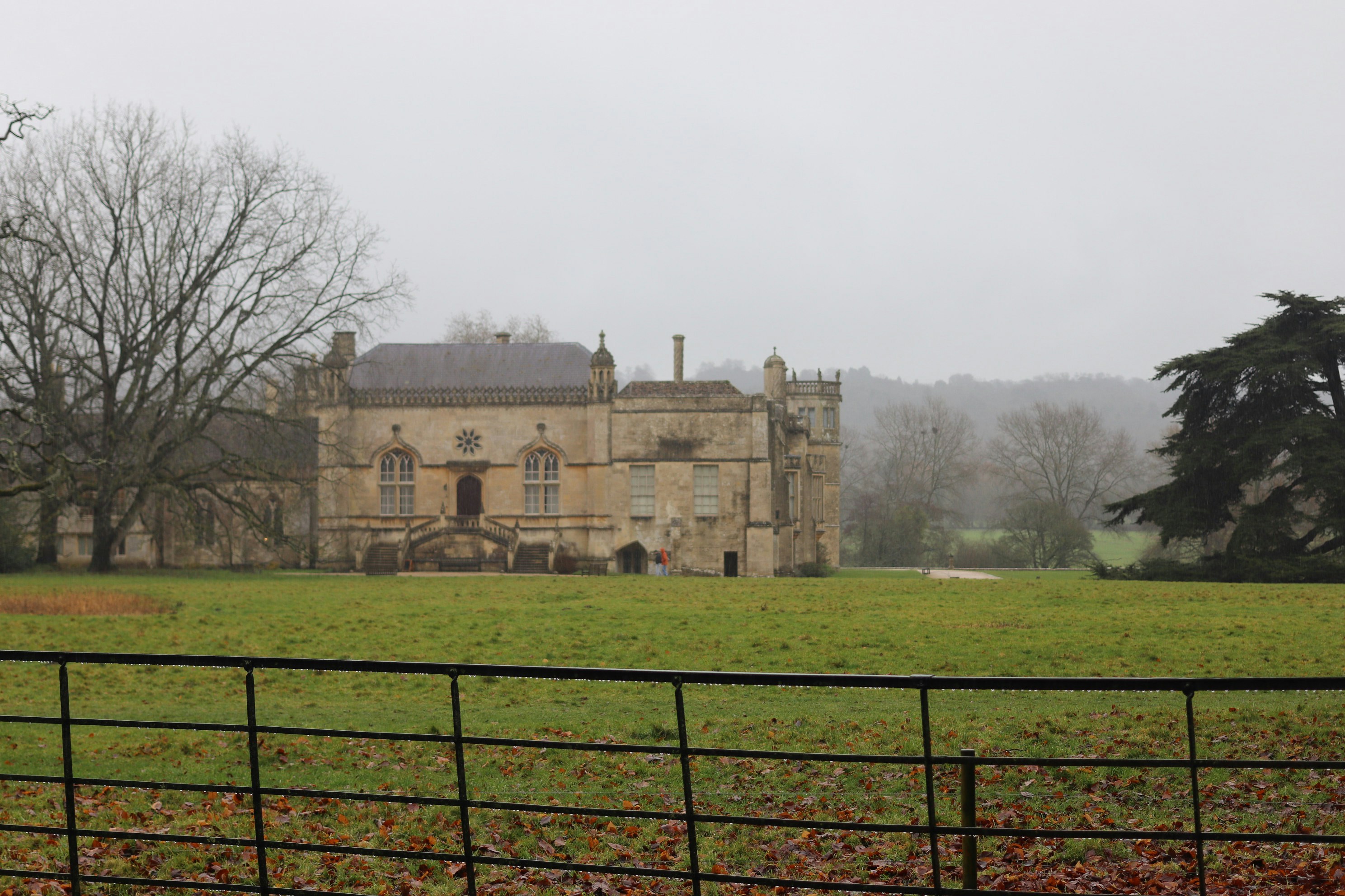 Photo by tanyabarrow