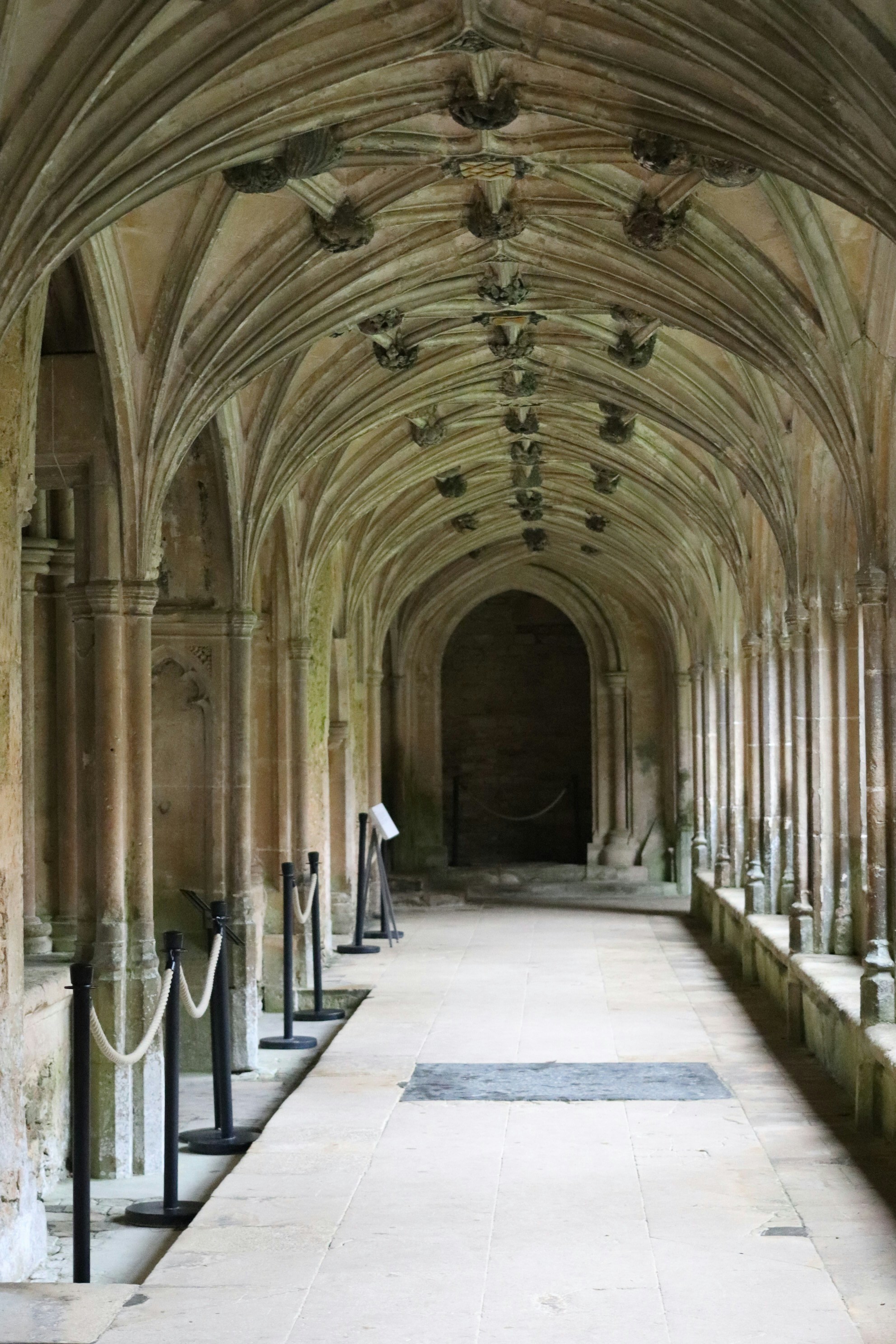 Photo by tanyabarrow