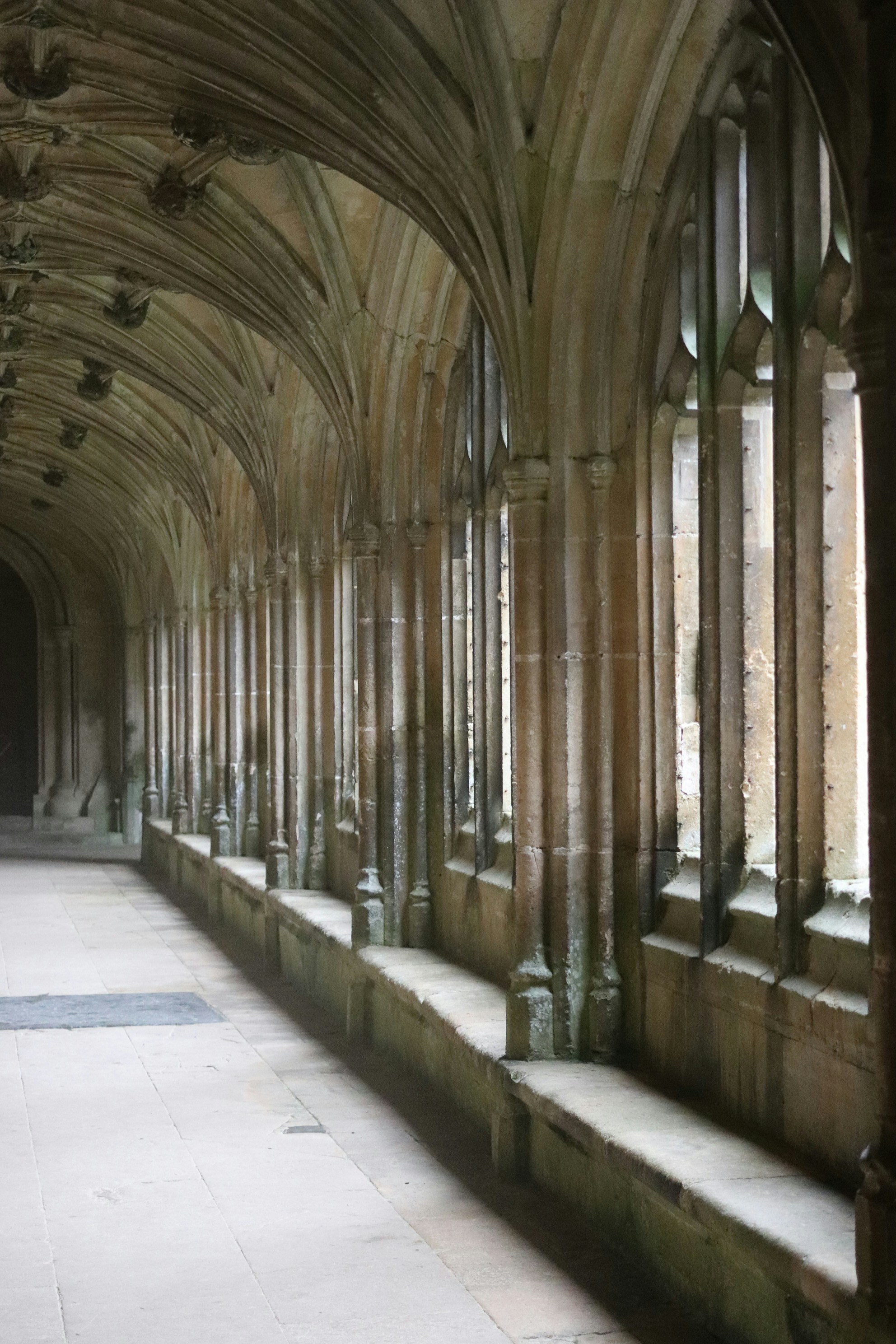 Photo by tanyabarrow