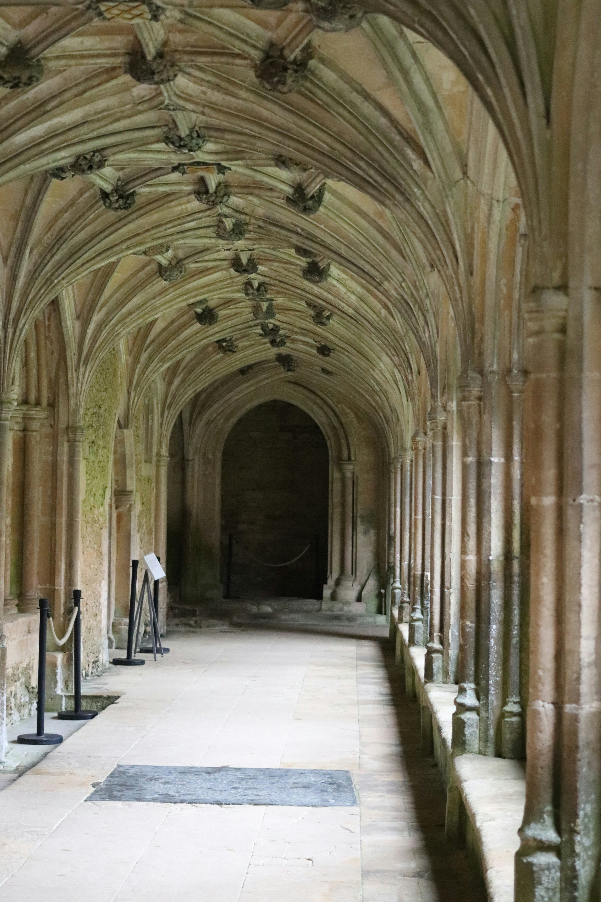 Photo by tanyabarrow