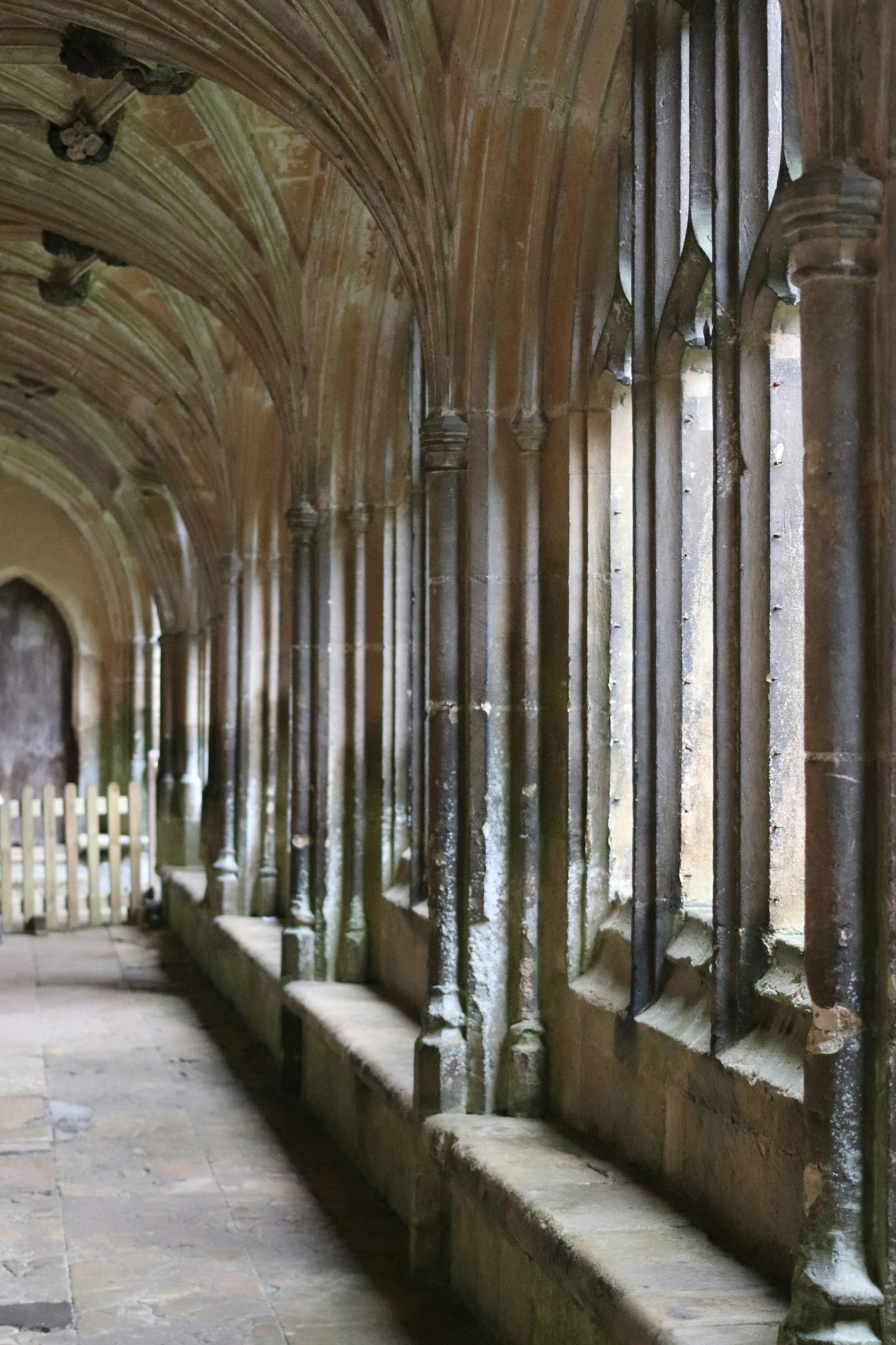 Photo by tanyabarrow