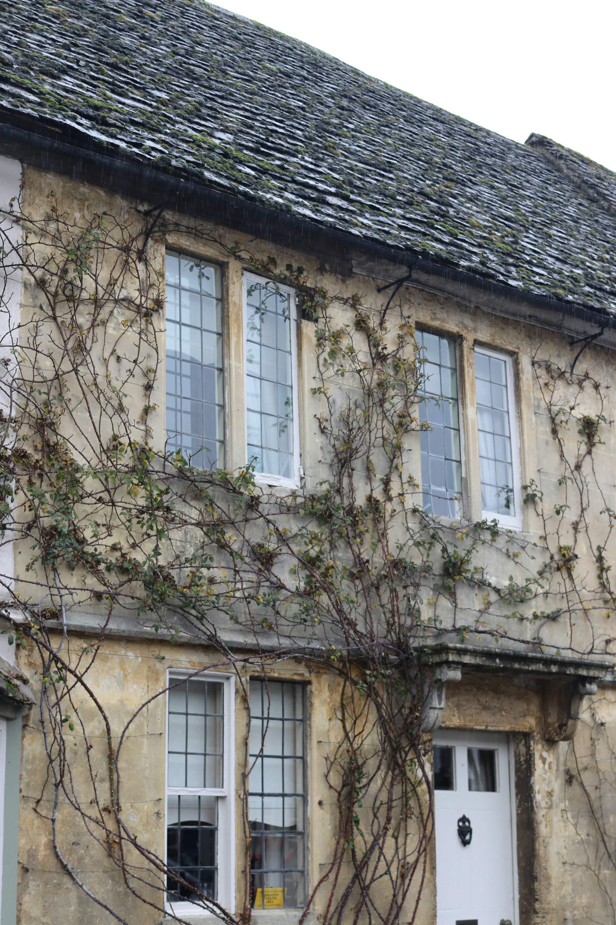 Photo by tanyabarrow