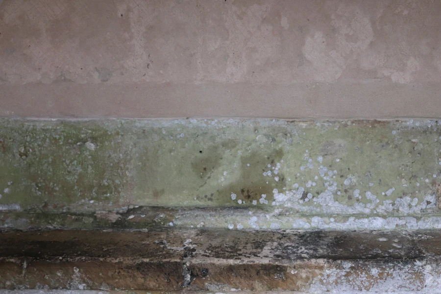 Crawl Space Mold Remediation in Napa, CA