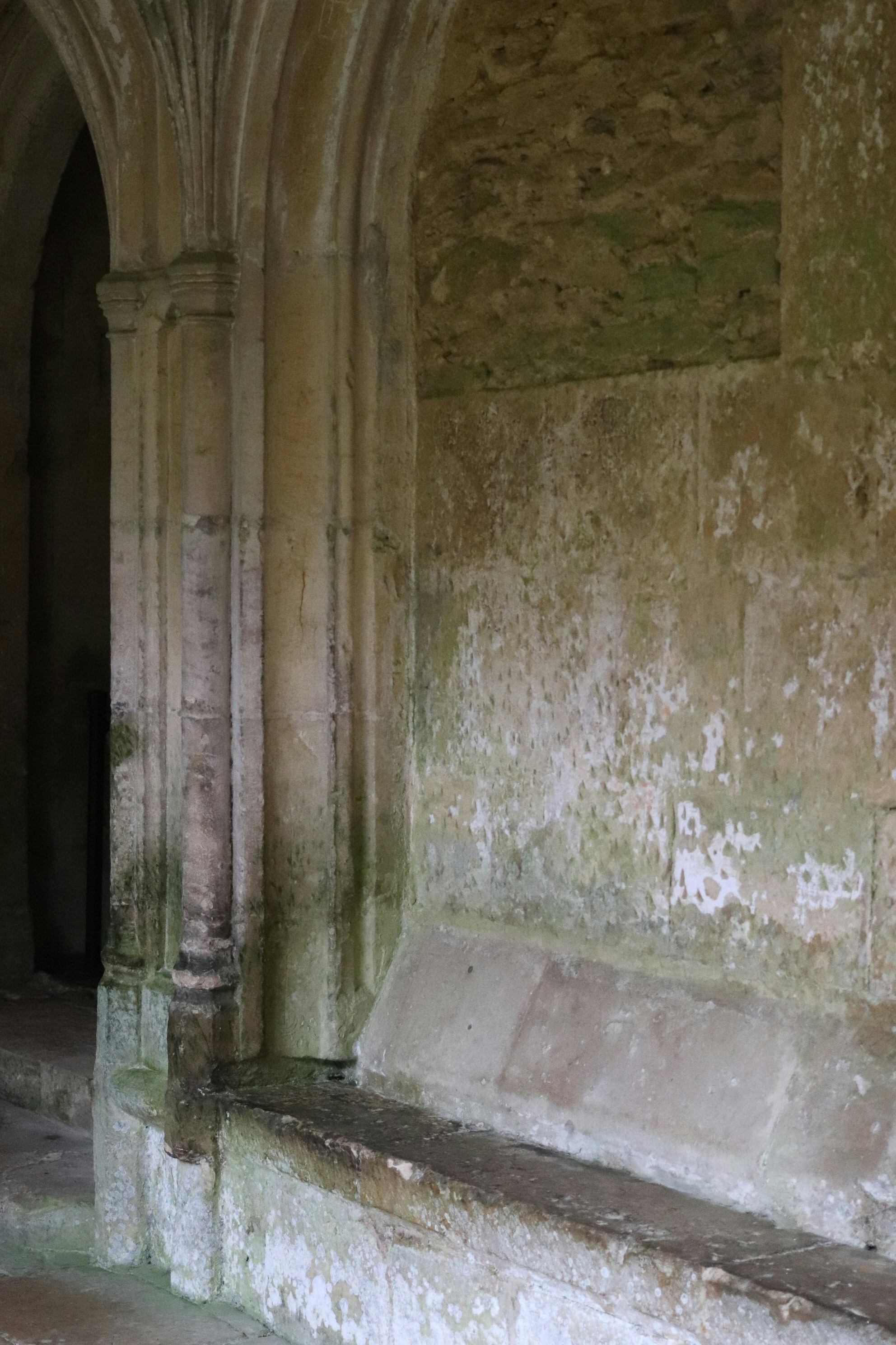 Photo by tanyabarrow