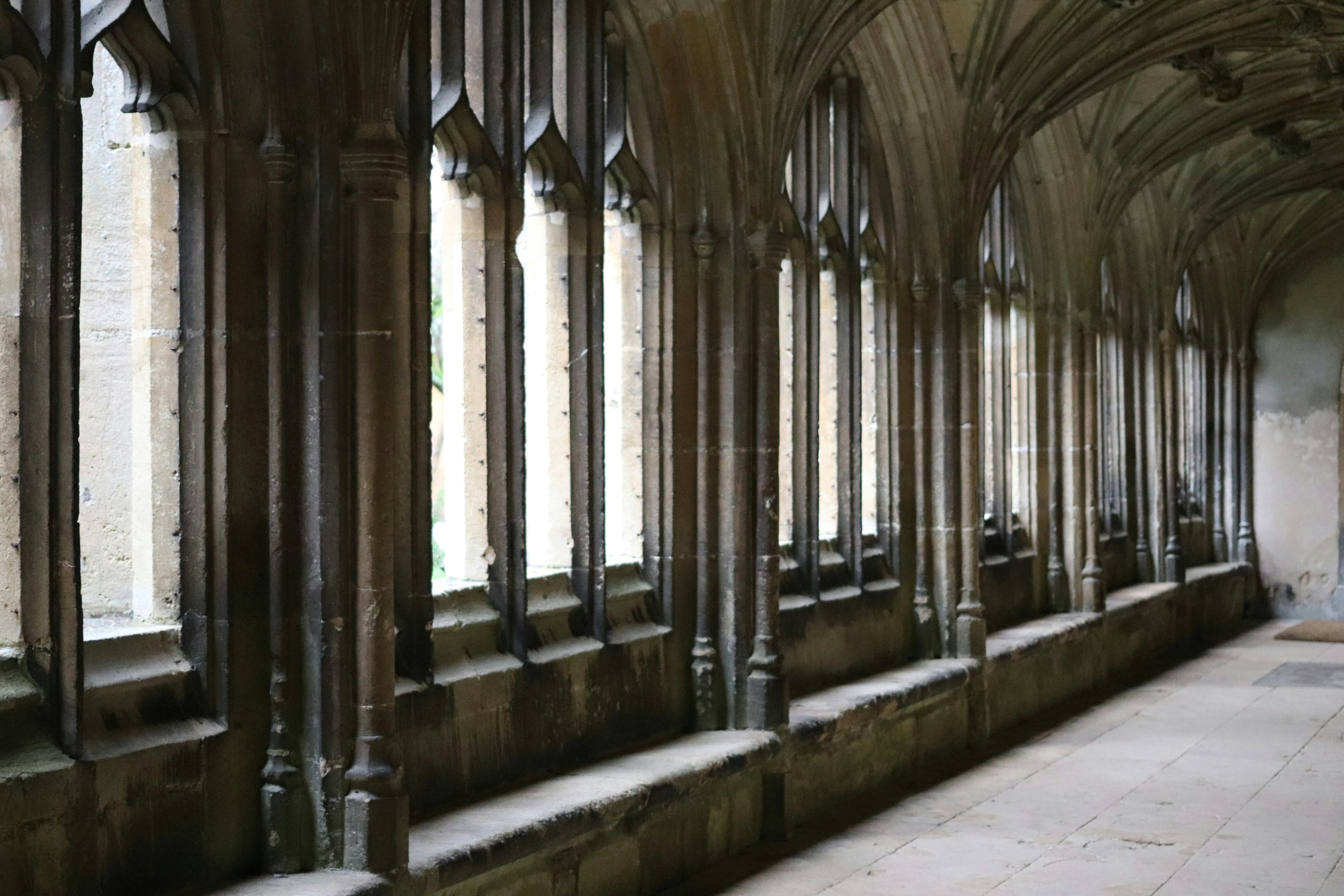 Photo by tanyabarrow