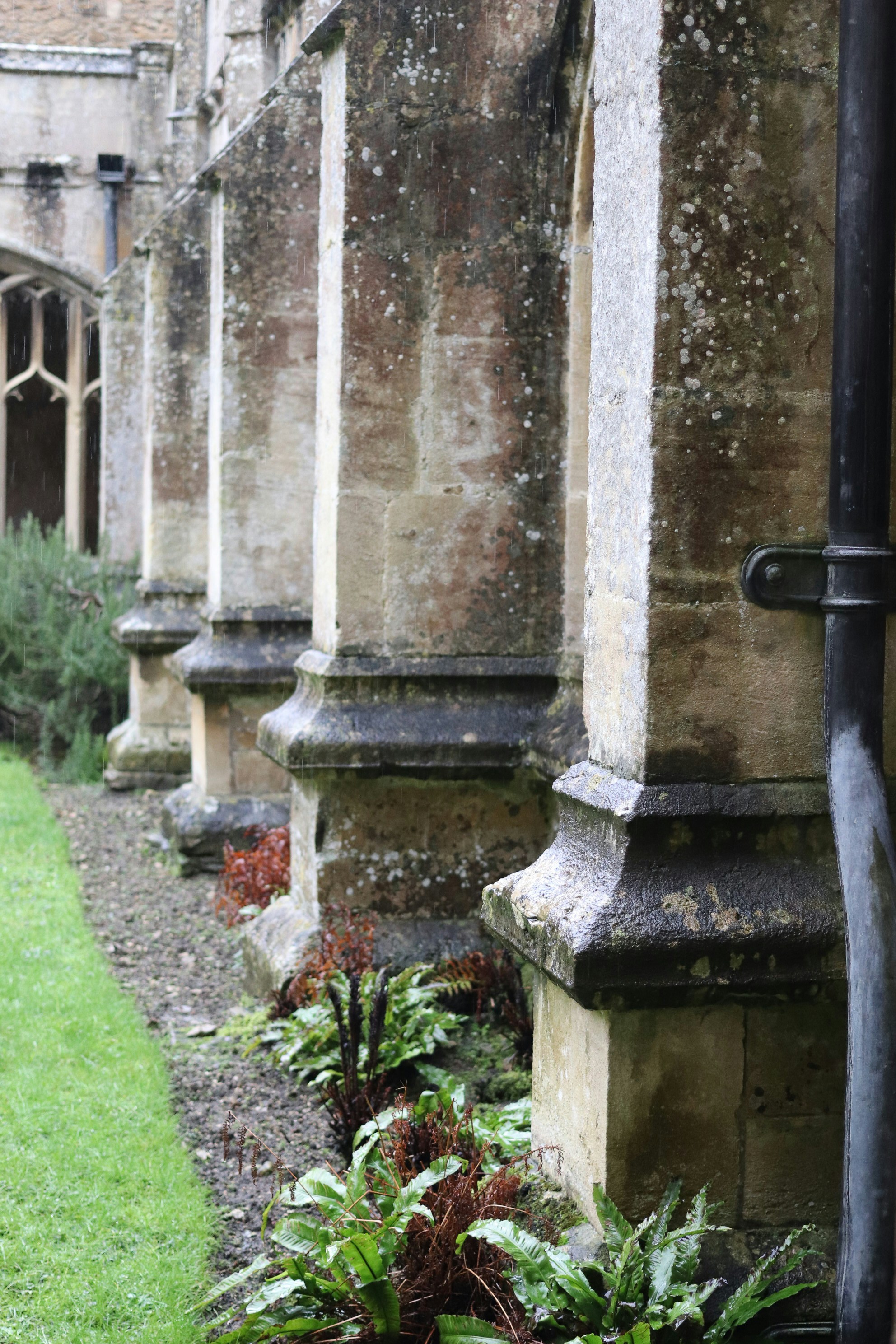 Photo by tanyabarrow