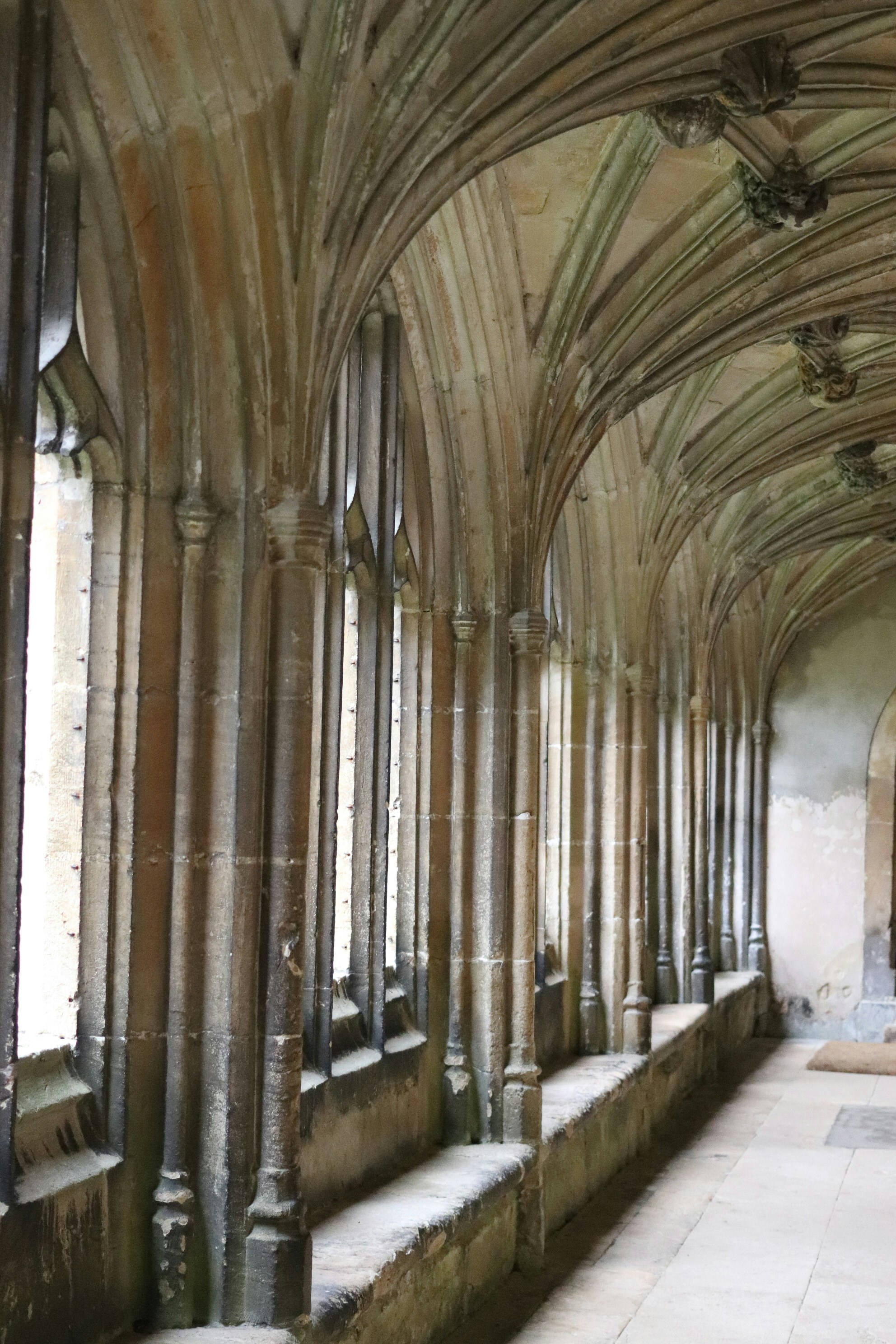 Photo by tanyabarrow