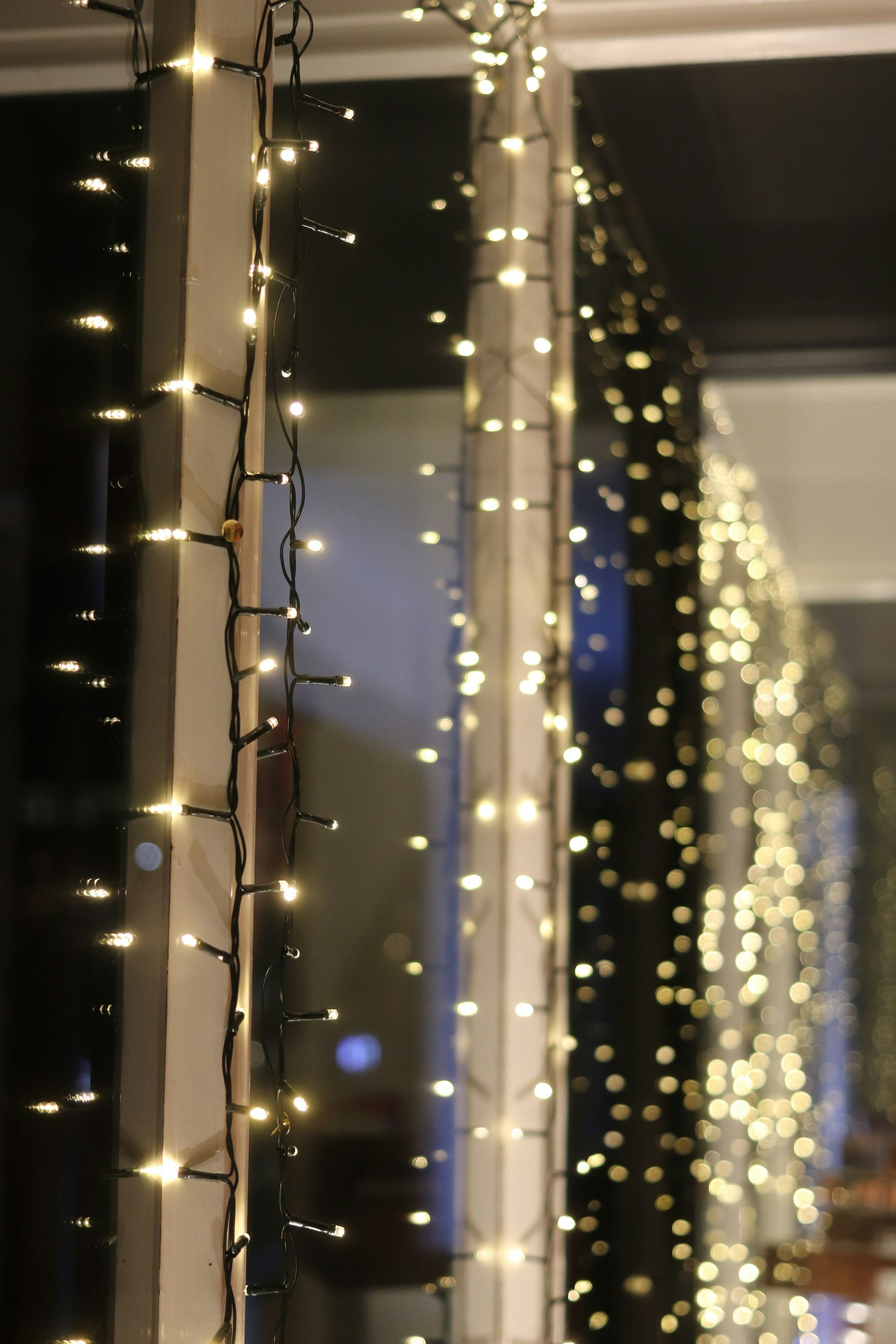 Photo by tanyabarrow