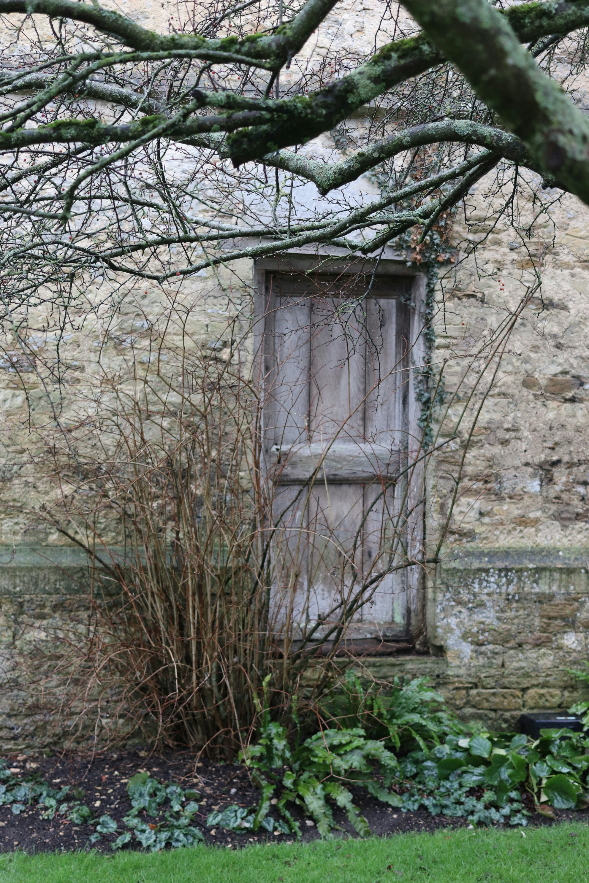 Photo by tanyabarrow