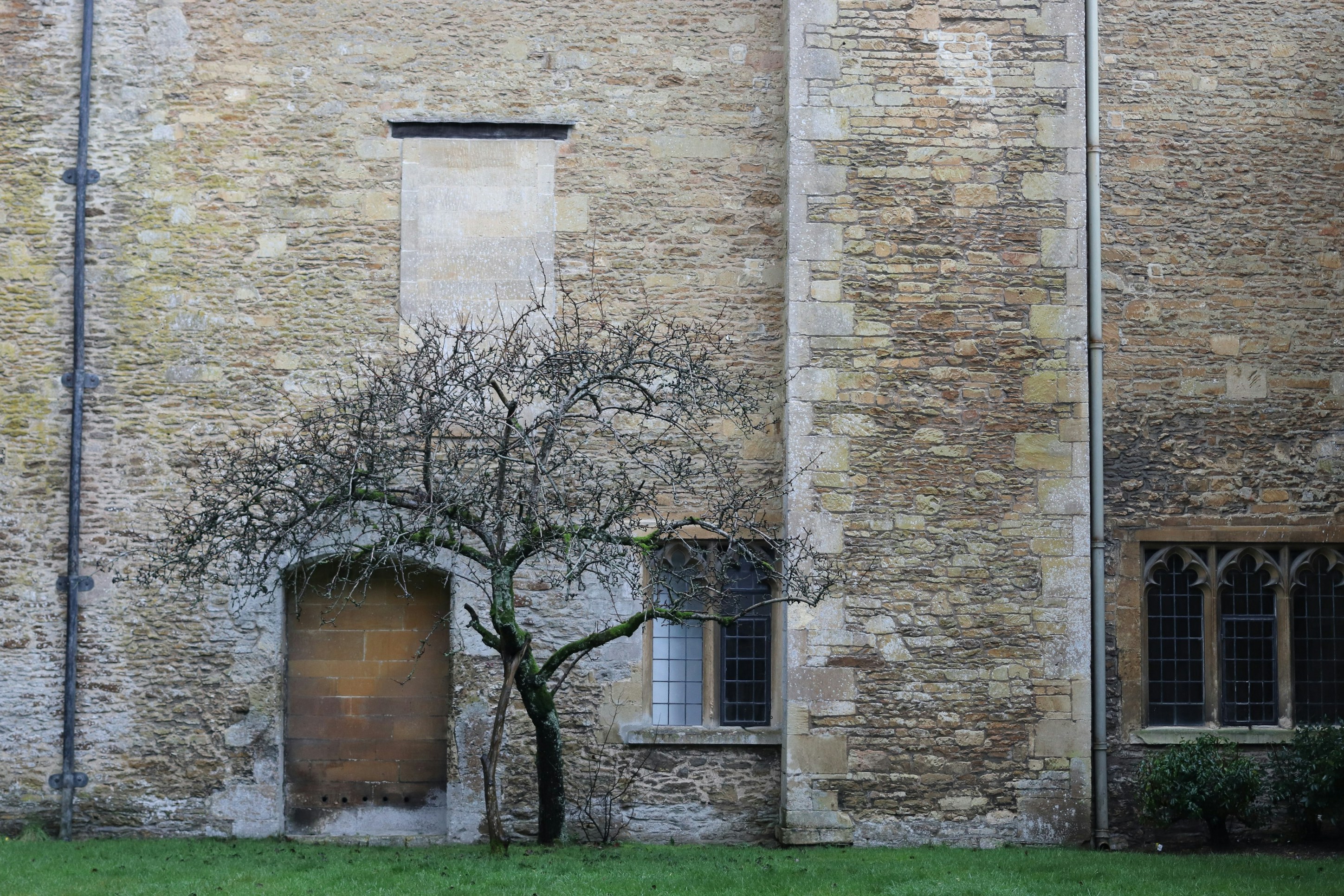 Photo by tanyabarrow