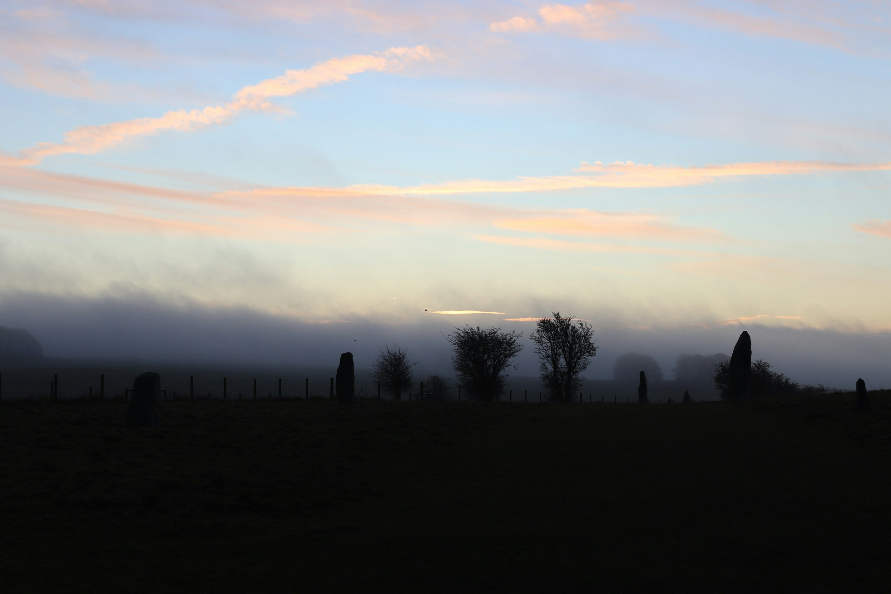 Photo by tanyabarrow