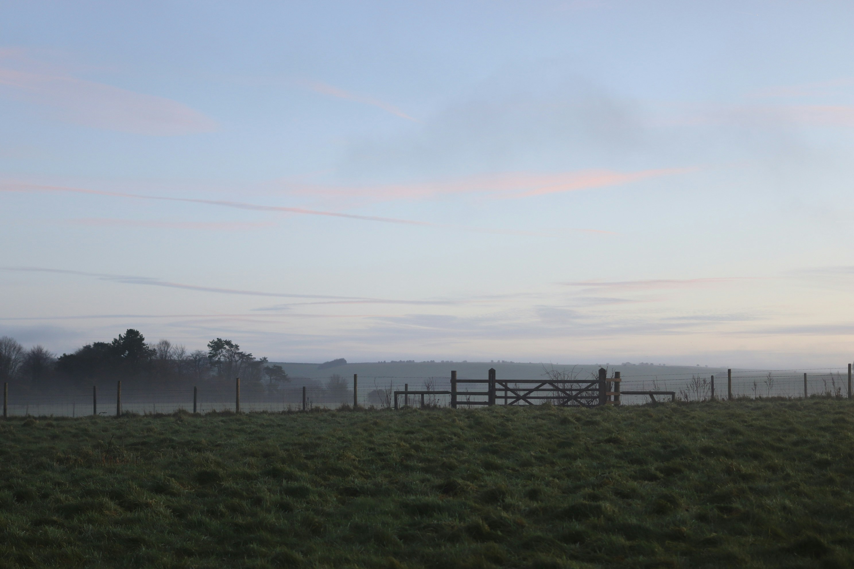 Photo by tanyabarrow