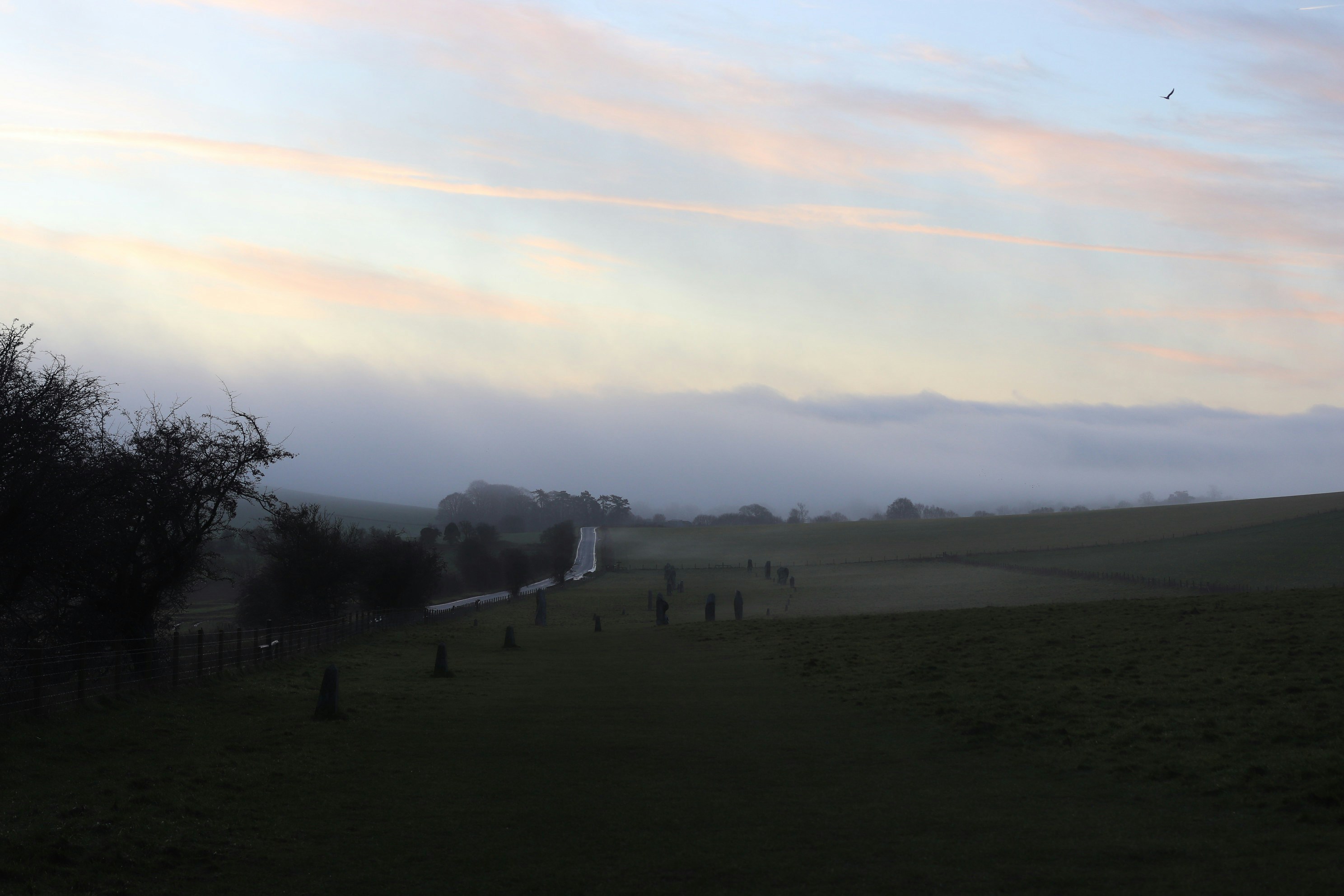 Photo by tanyabarrow