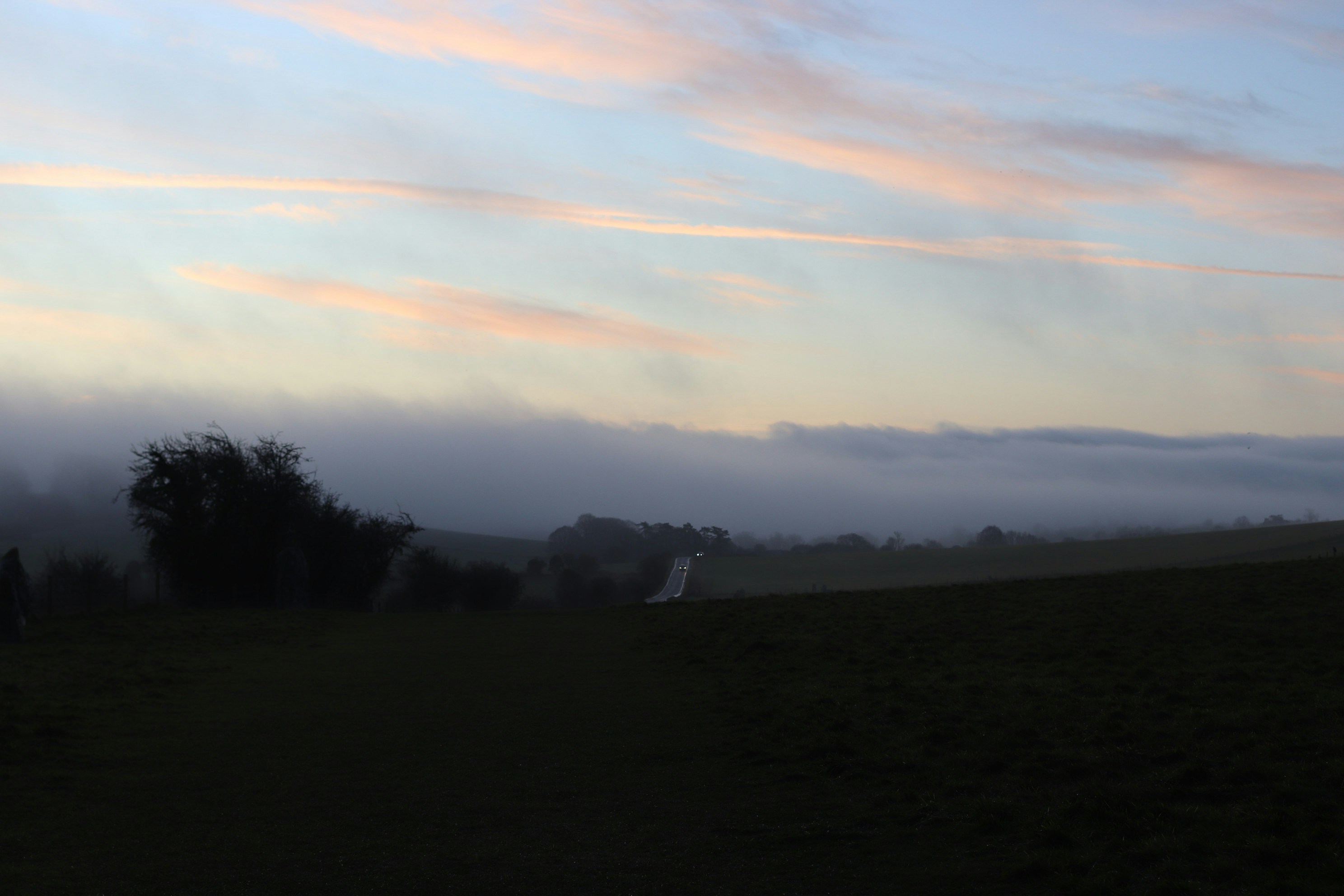 Photo by tanyabarrow