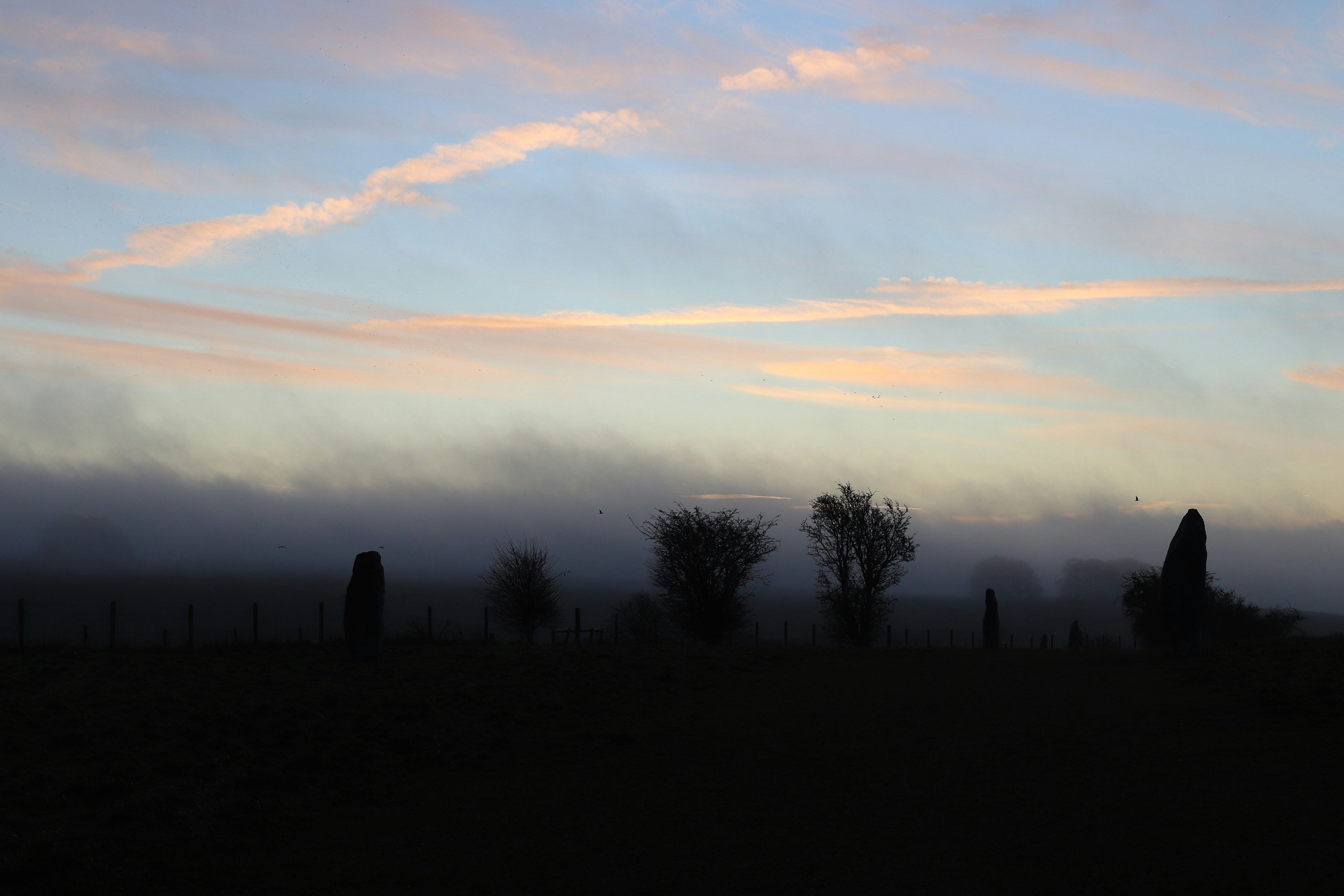 Photo by tanyabarrow