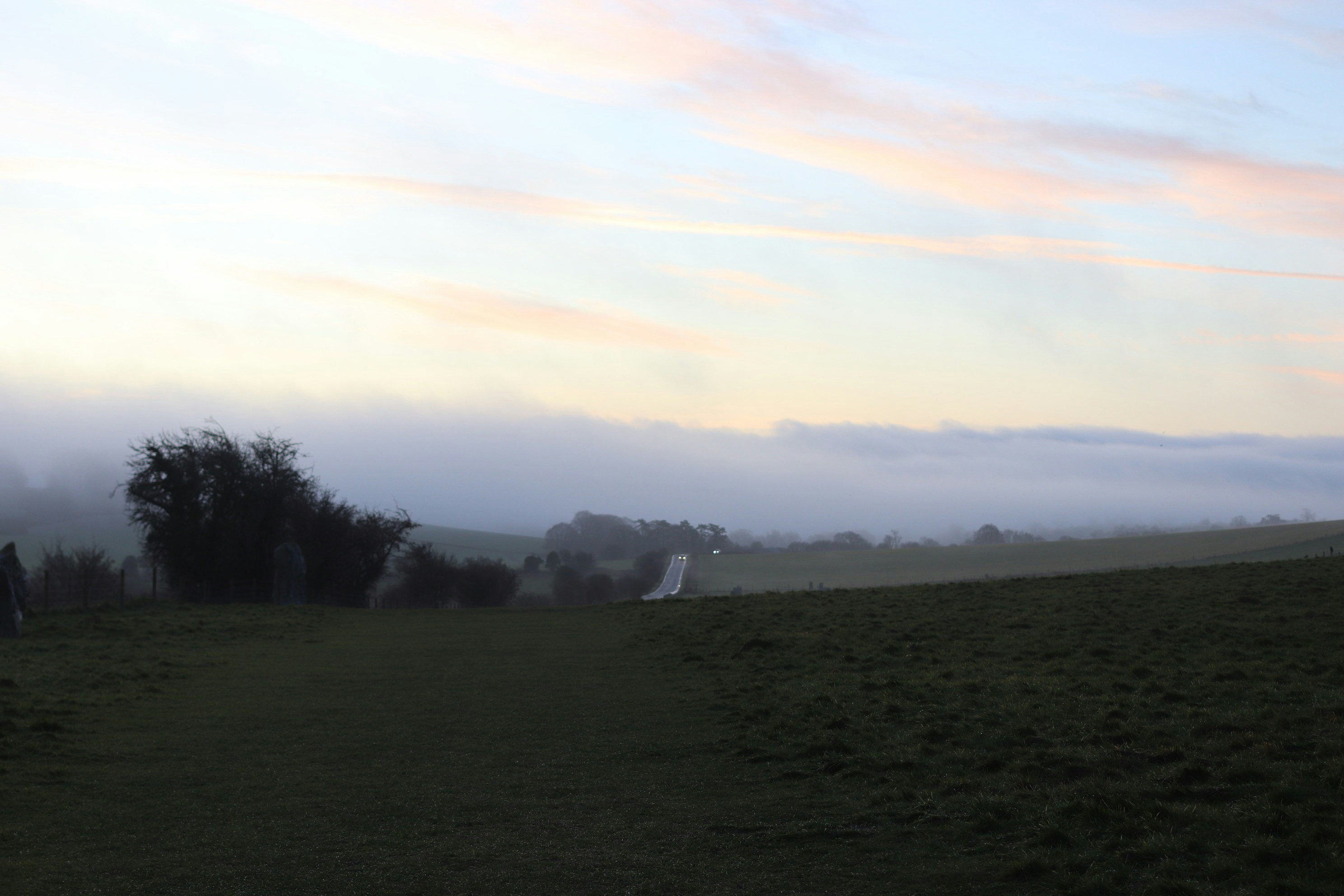 Photo by tanyabarrow