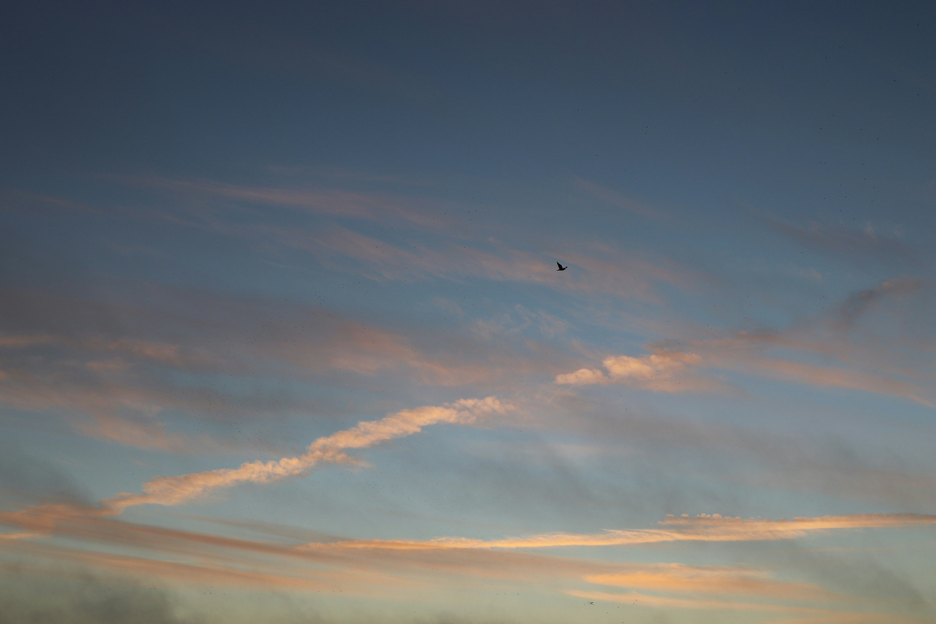 Photo by tanyabarrow