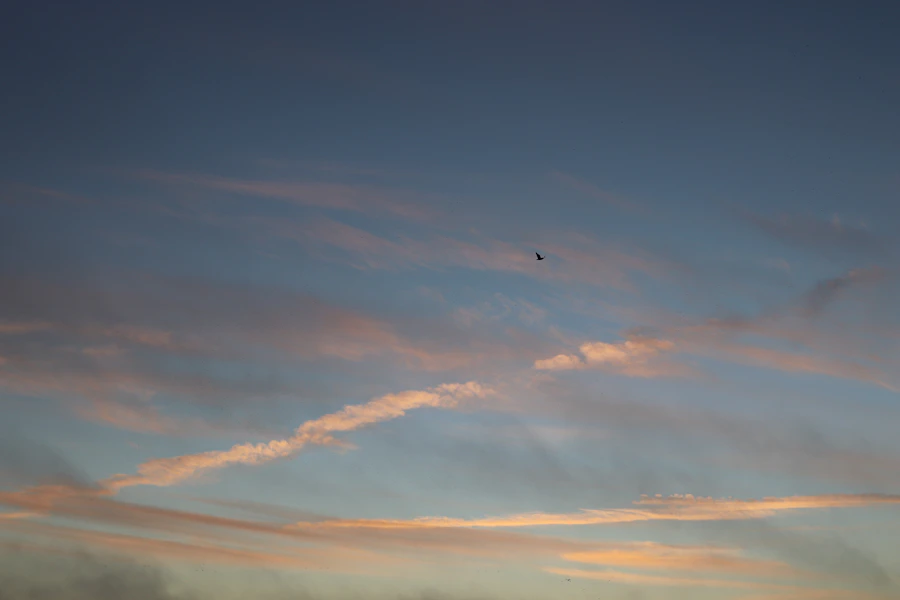 Airplane flying through the sky