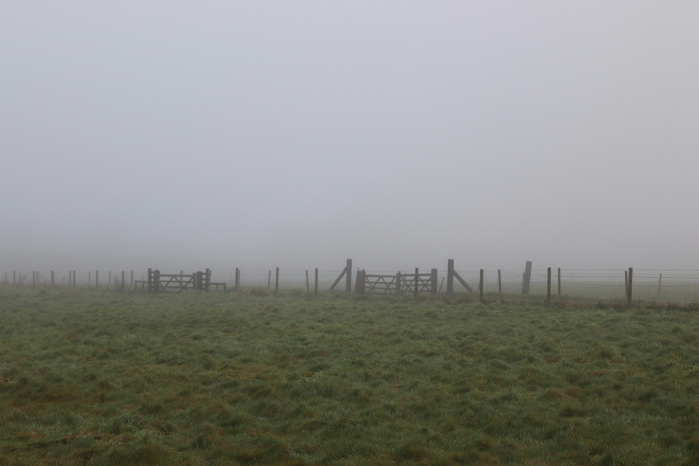 Photo by tanyabarrow