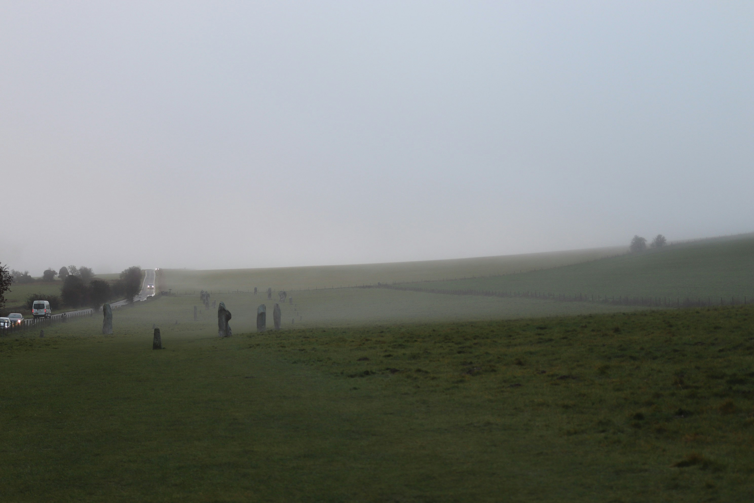 Photo by tanyabarrow