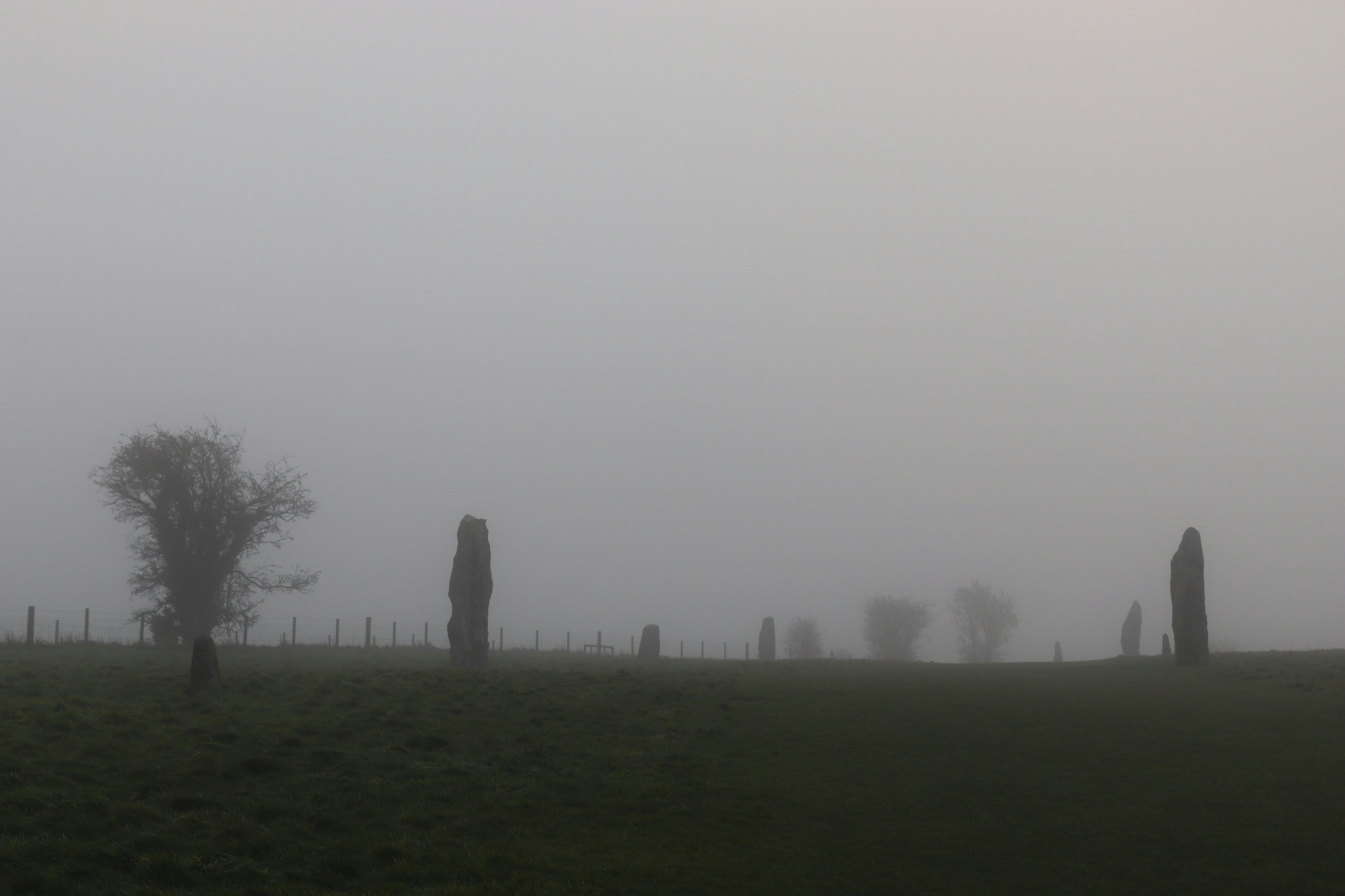 Photo by tanyabarrow