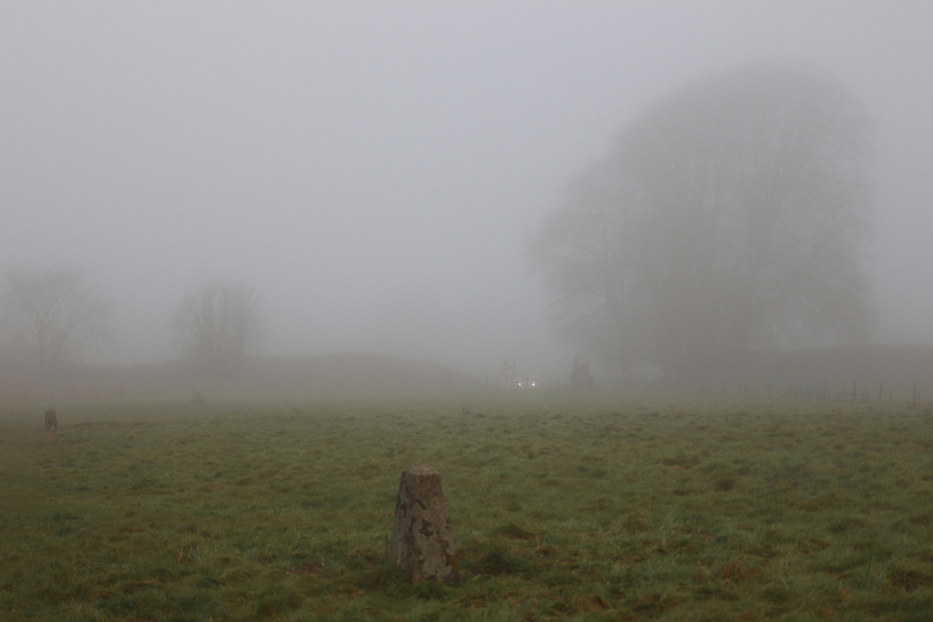 Photo by tanyabarrow