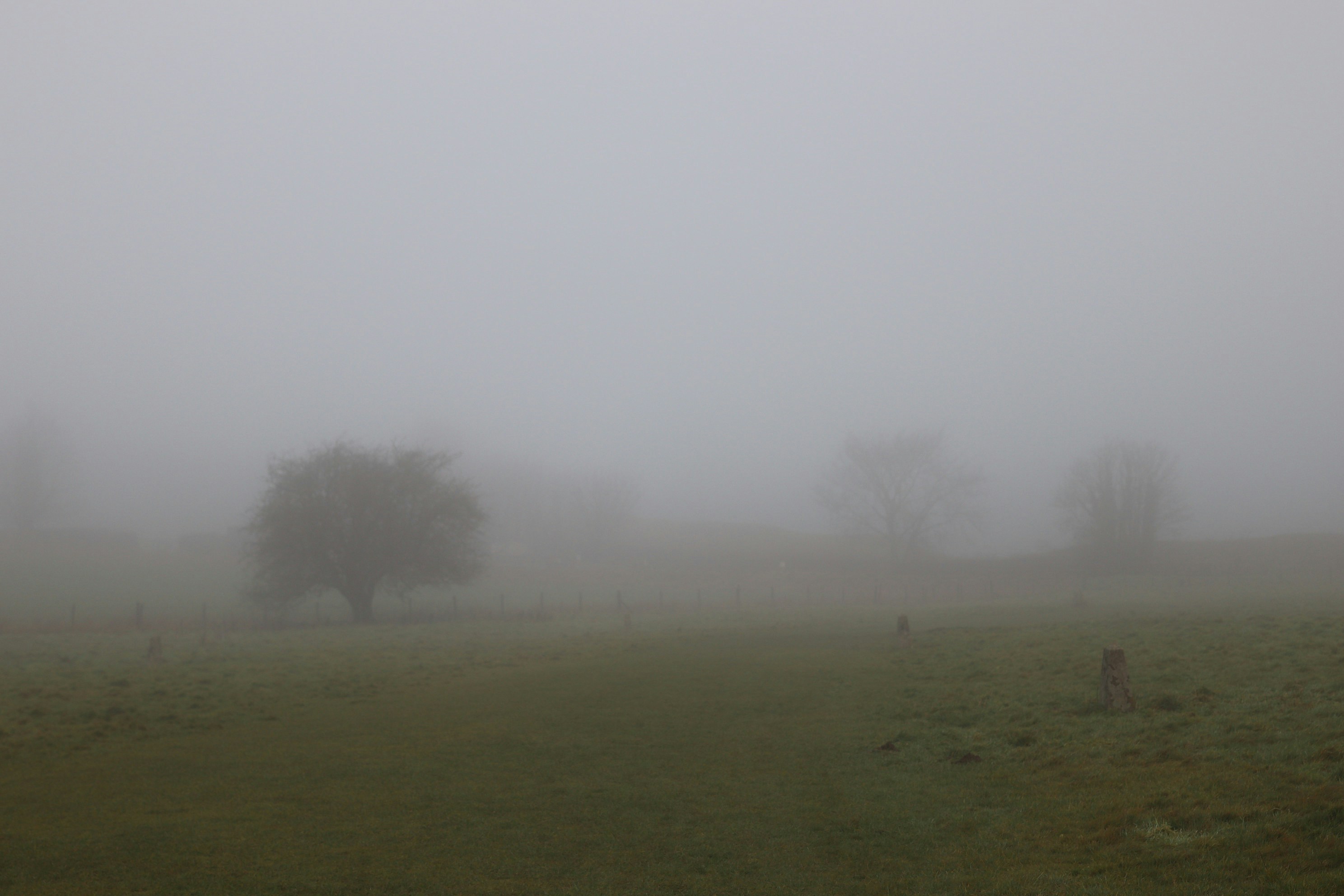 Photo by tanyabarrow