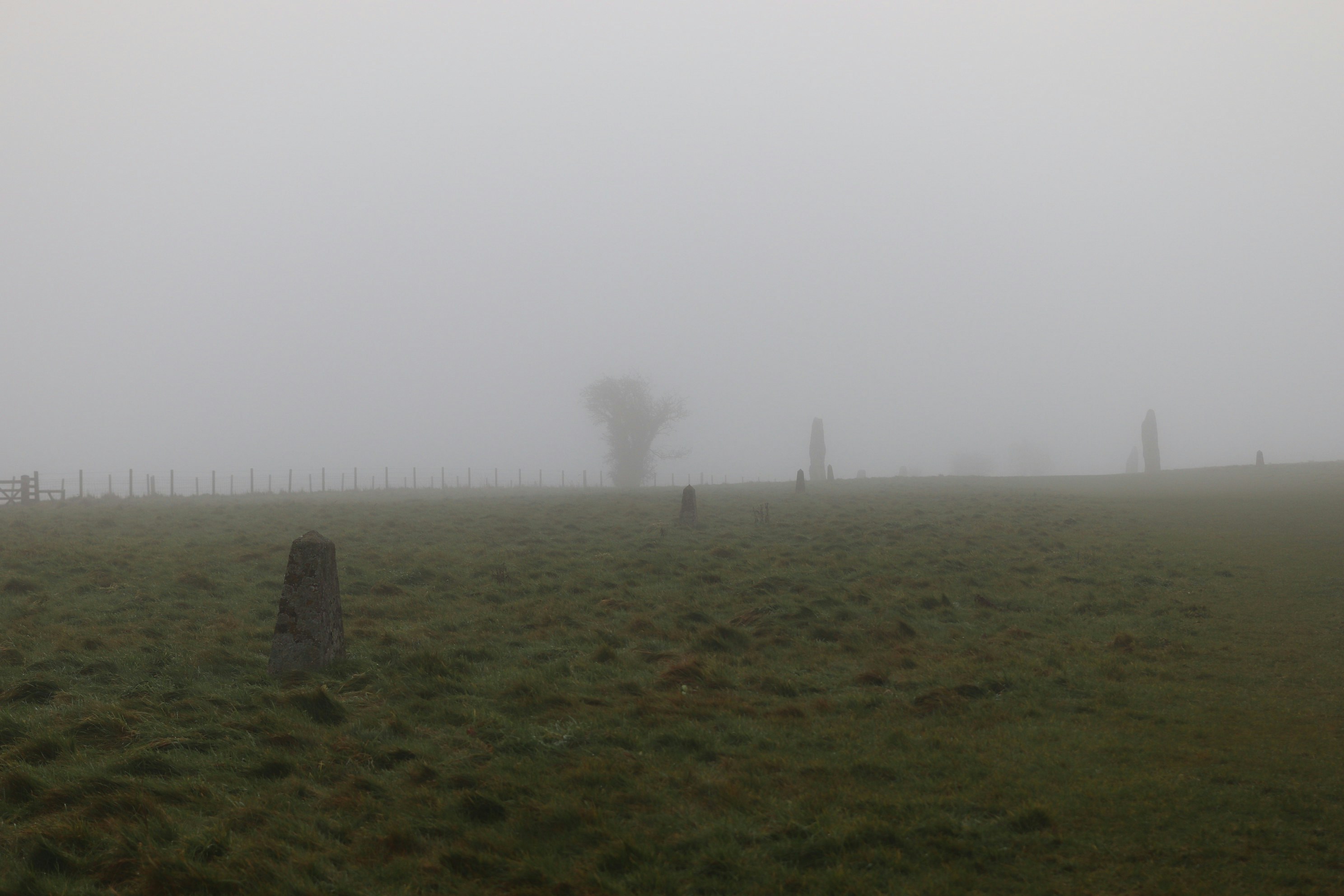 Photo by tanyabarrow