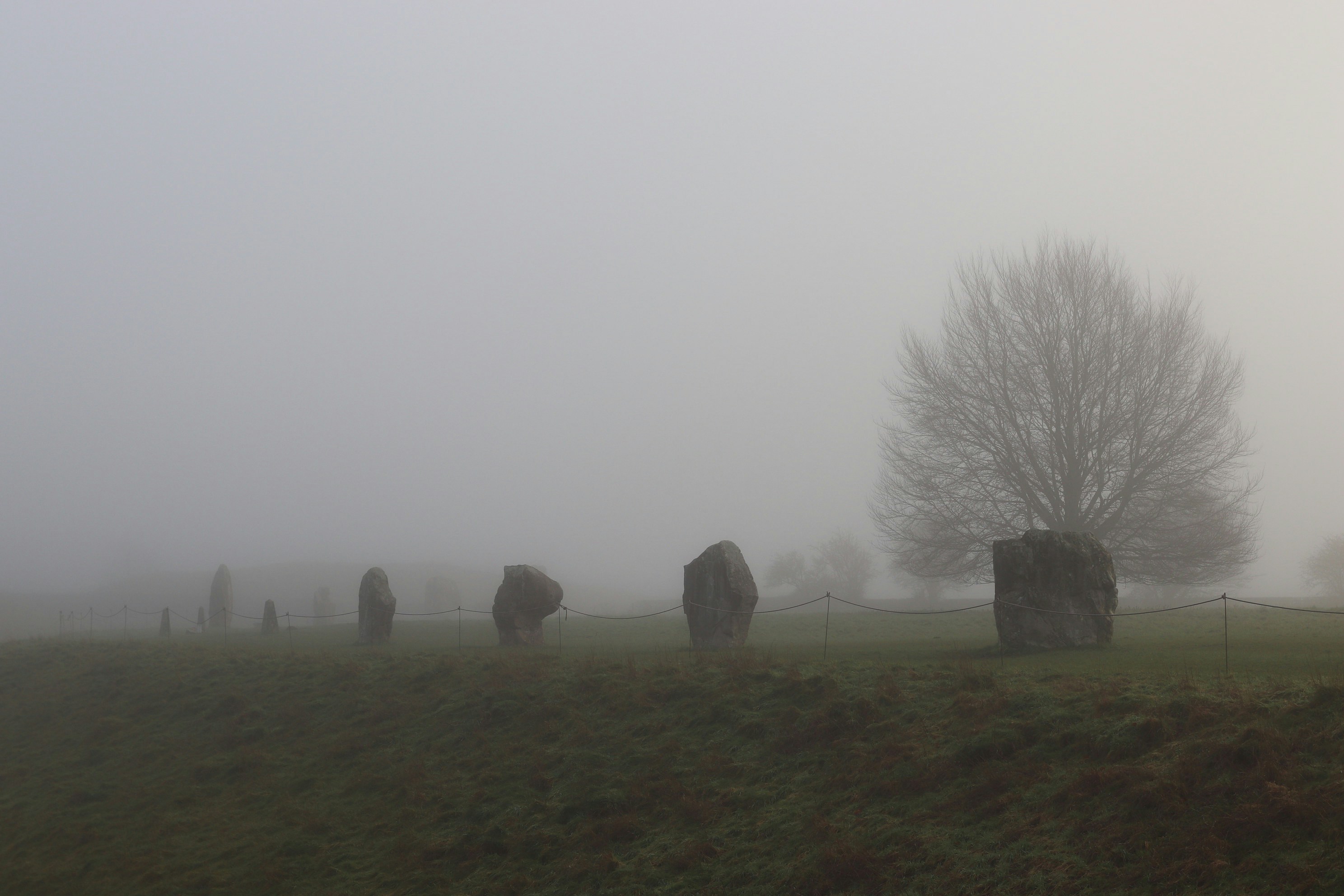 Photo by tanyabarrow