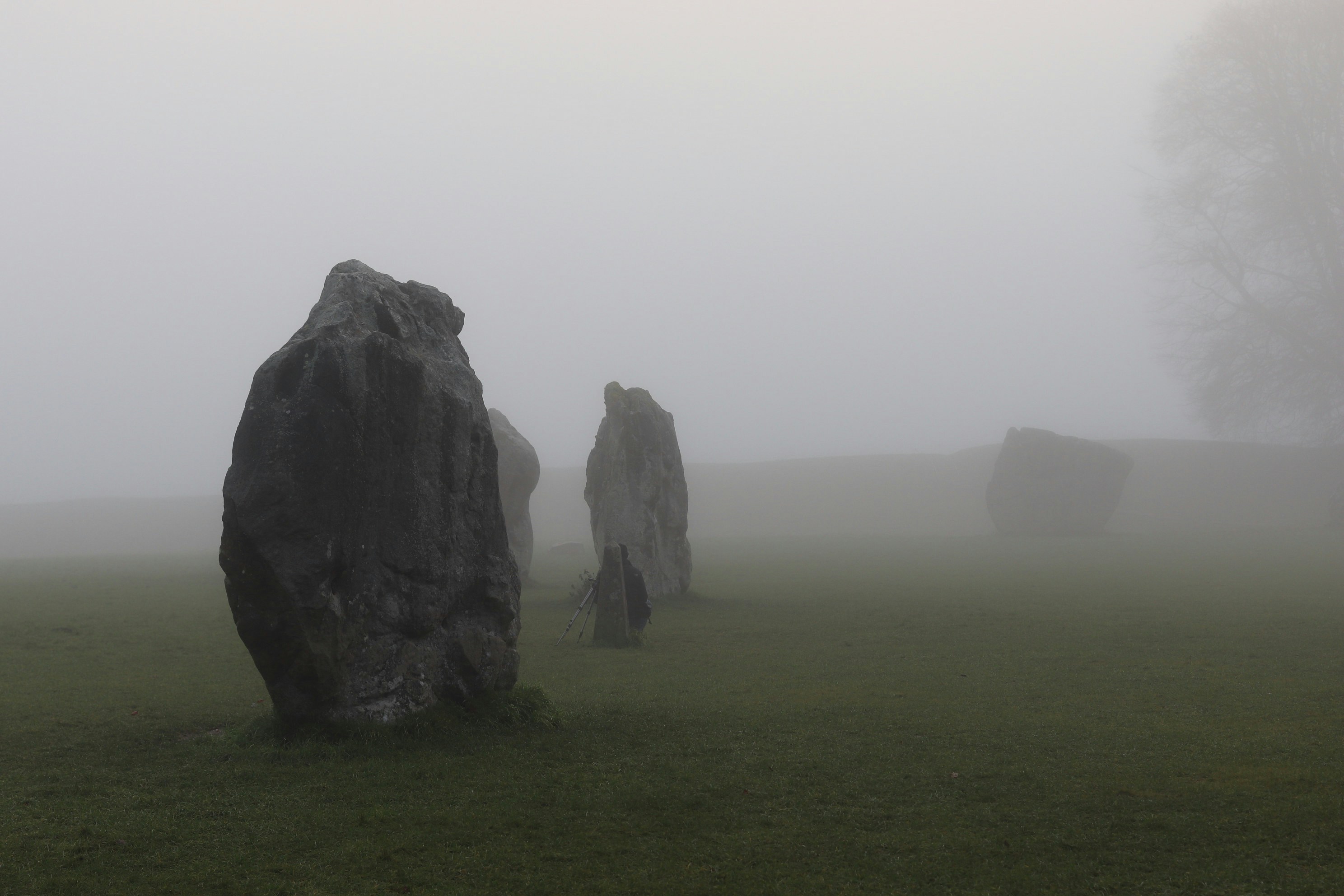 stone age landscape, wallpaper, Sejarah Zaman Mesolitikum: Peralihan dan Adaptasi Manusia 3
