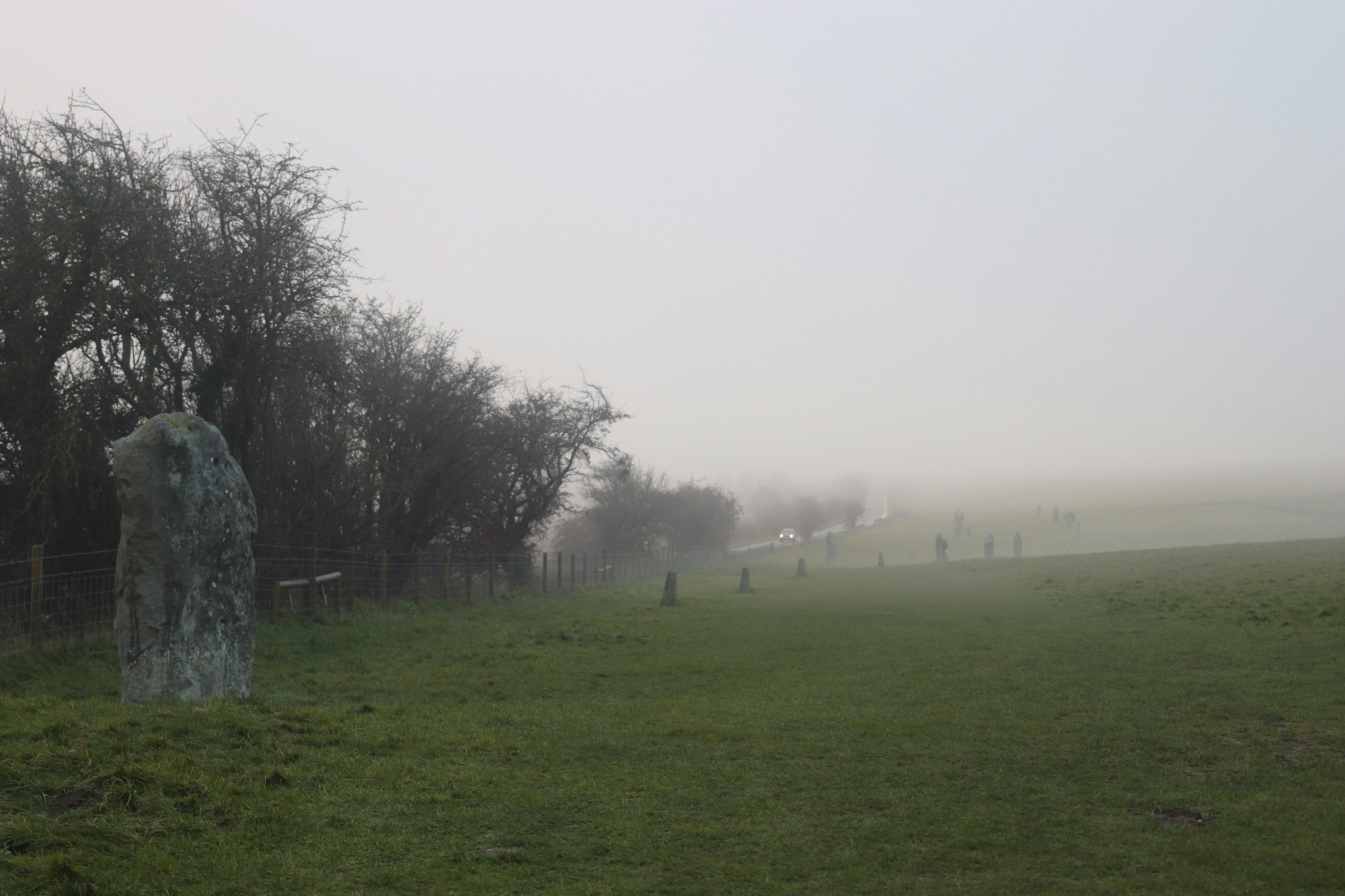 Photo by tanyabarrow