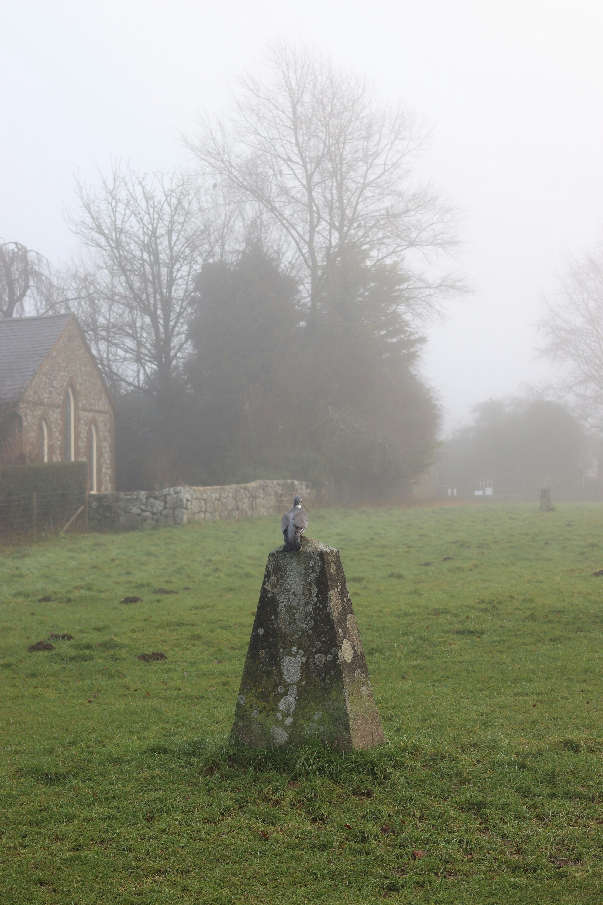A stone marker in a foggy field with trees.