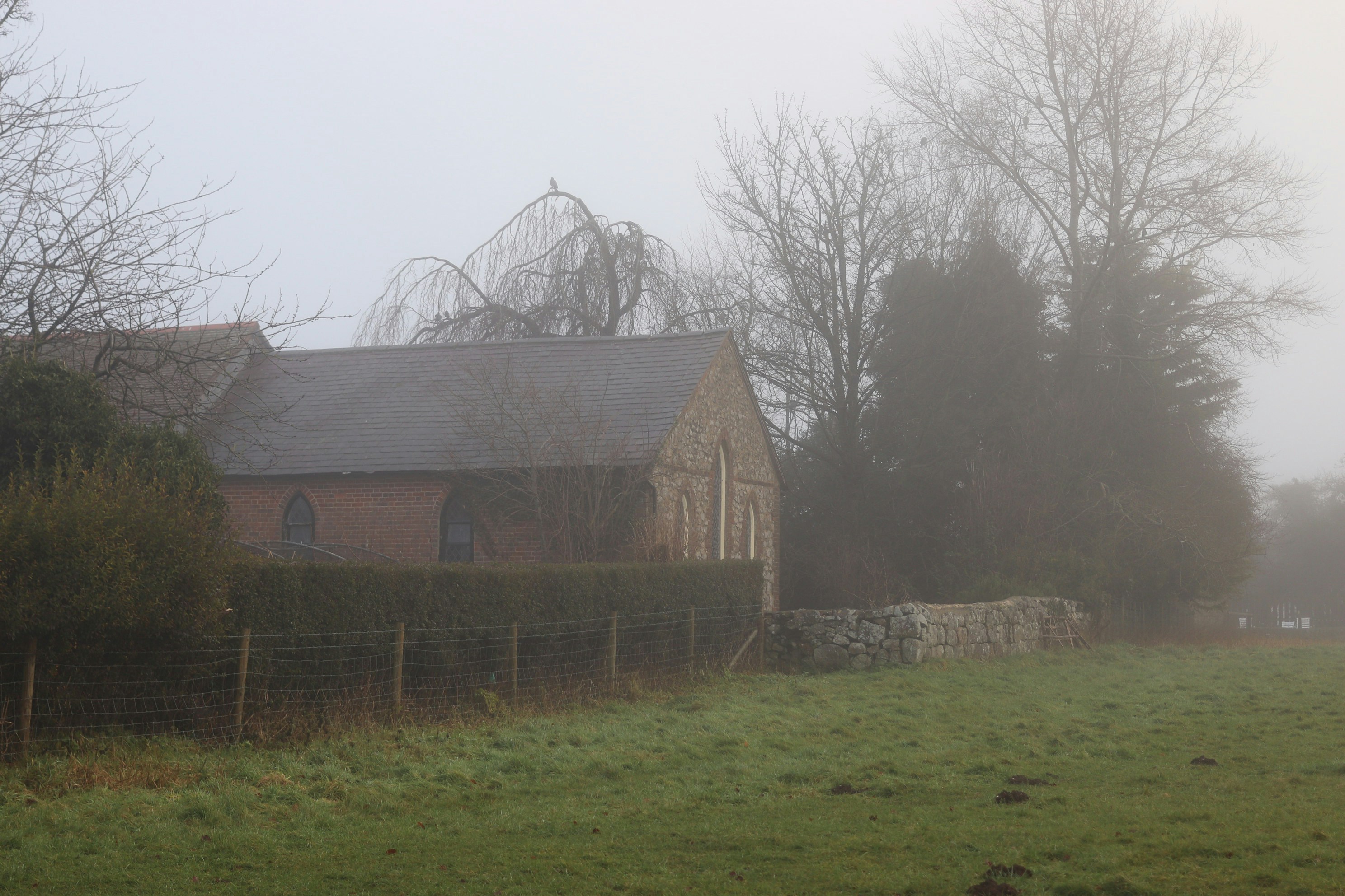 Photo by tanyabarrow